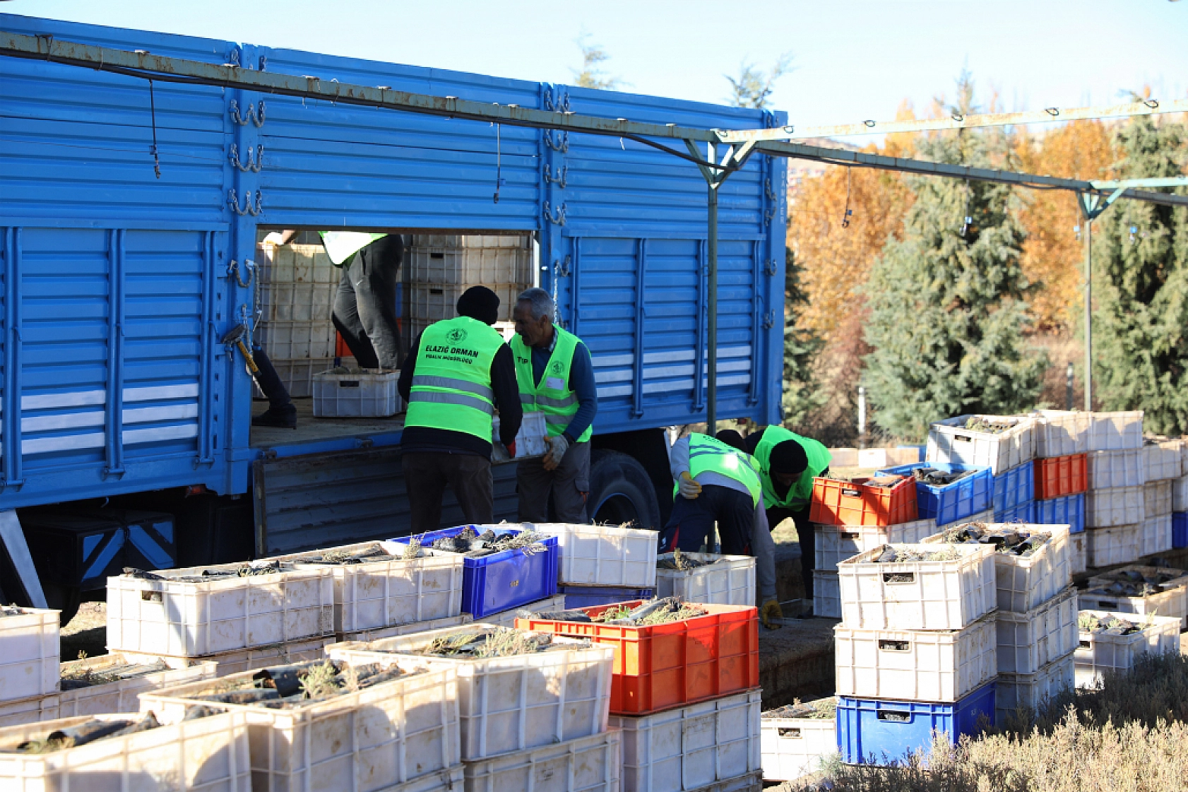 Malatya'da Yeşil Dönüşüm Başlıyor
