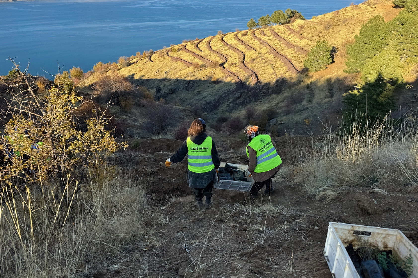 Malatya'da Yeşil Dönüşüm Başlıyor