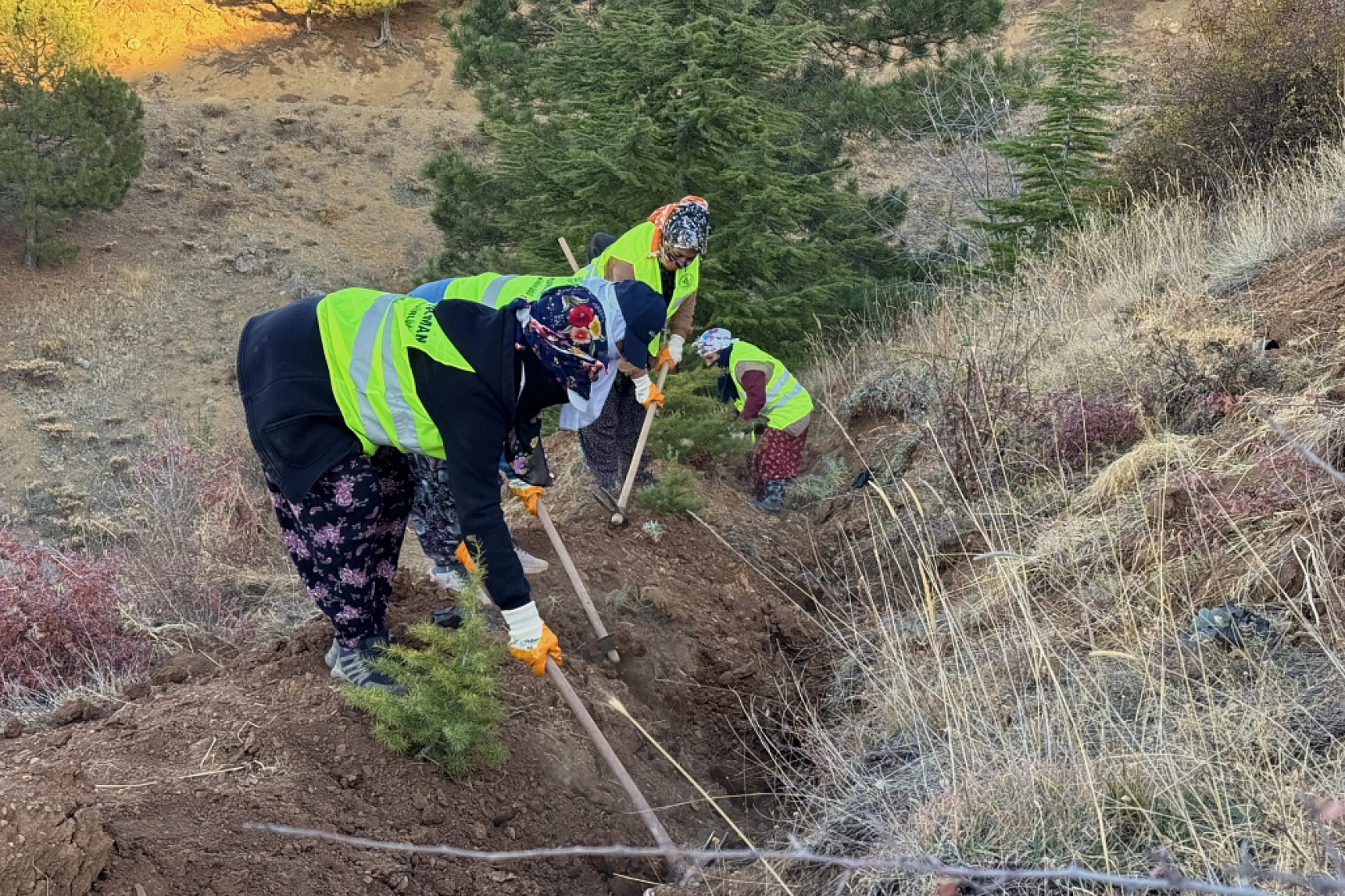 Malatya'da Yeşil Dönüşüm Başlıyor