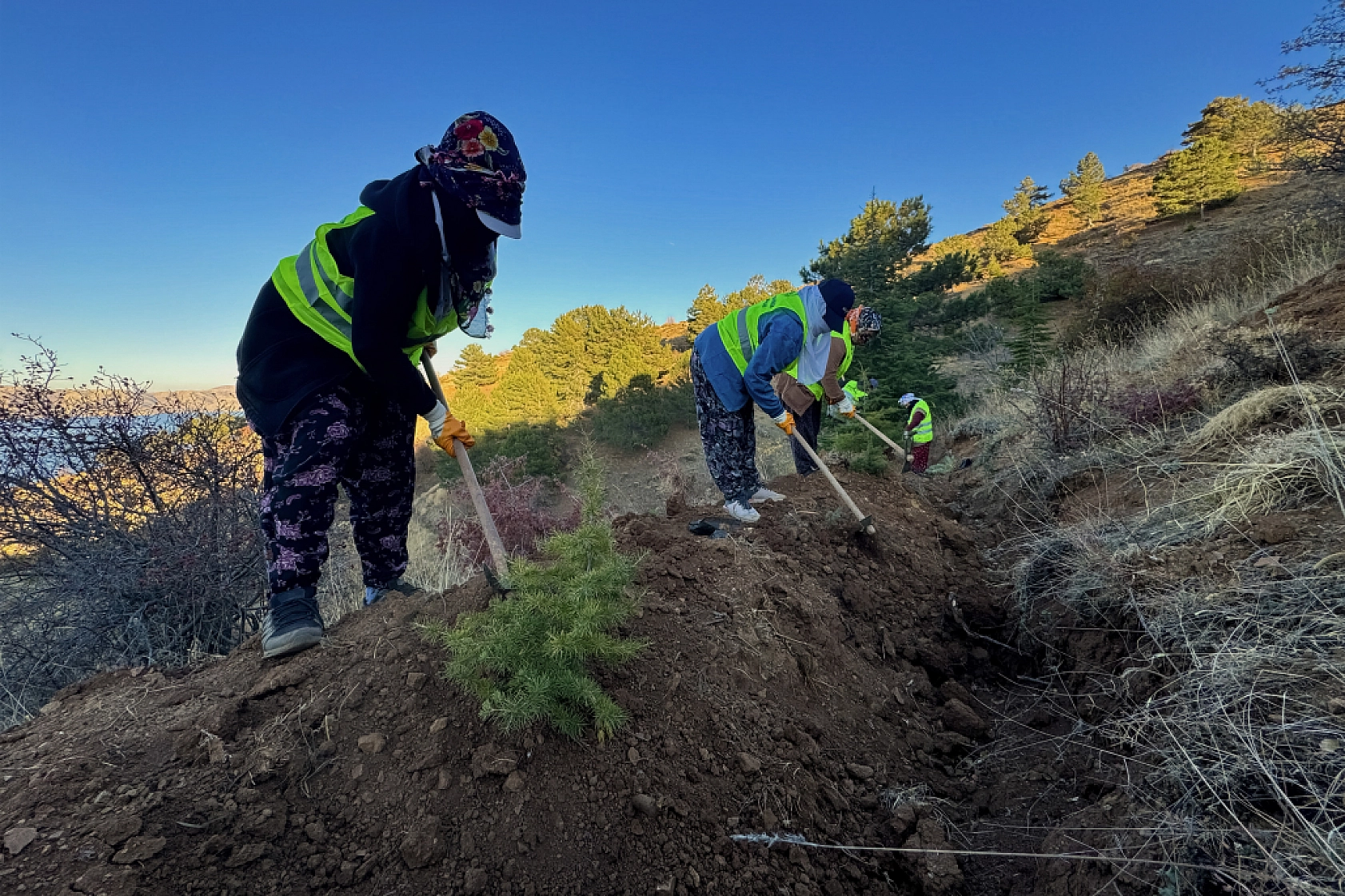 Malatya'da Yeşil Dönüşüm Başlıyor