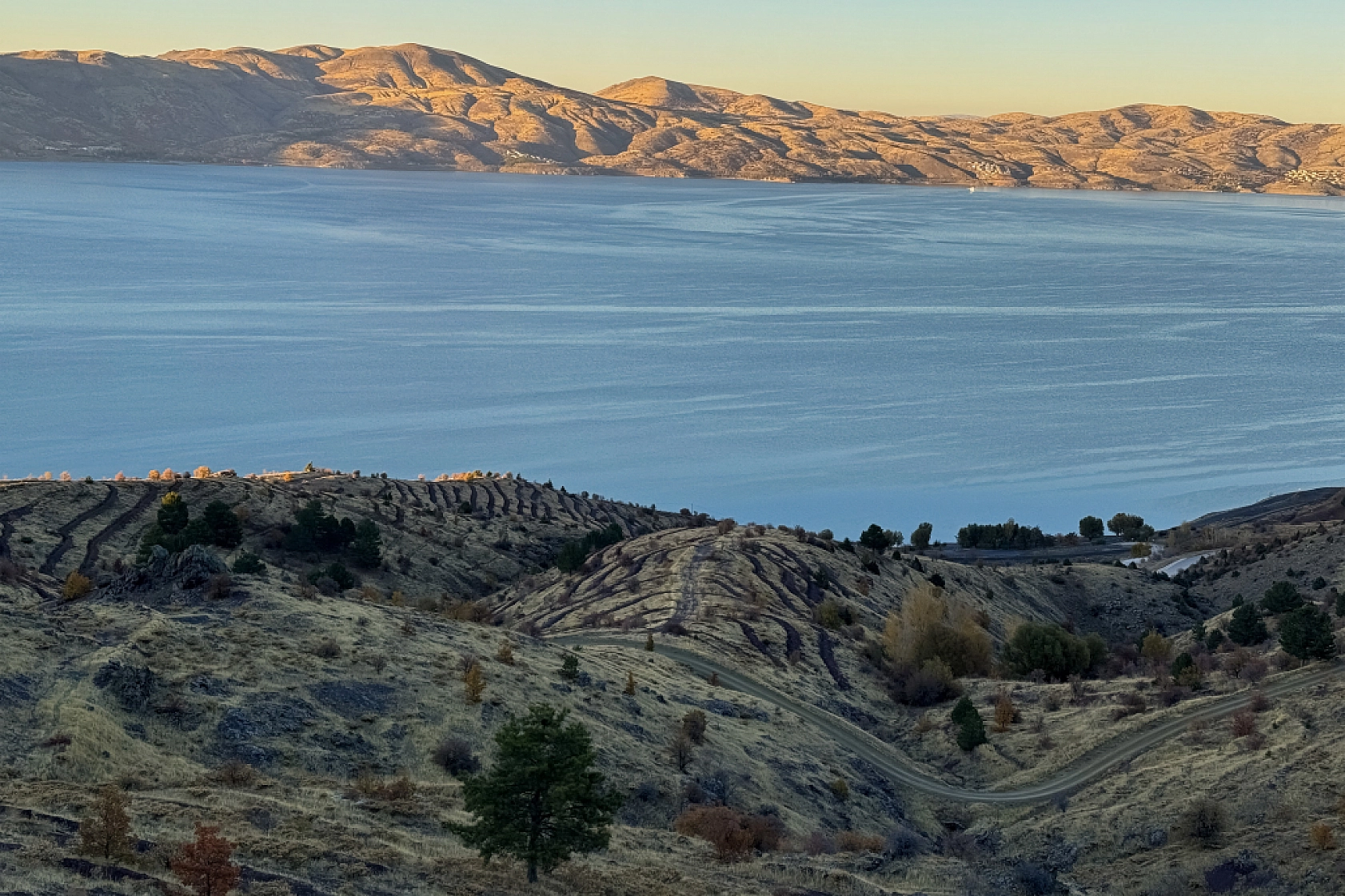 Malatya'da Yeşil Dönüşüm Başlıyor