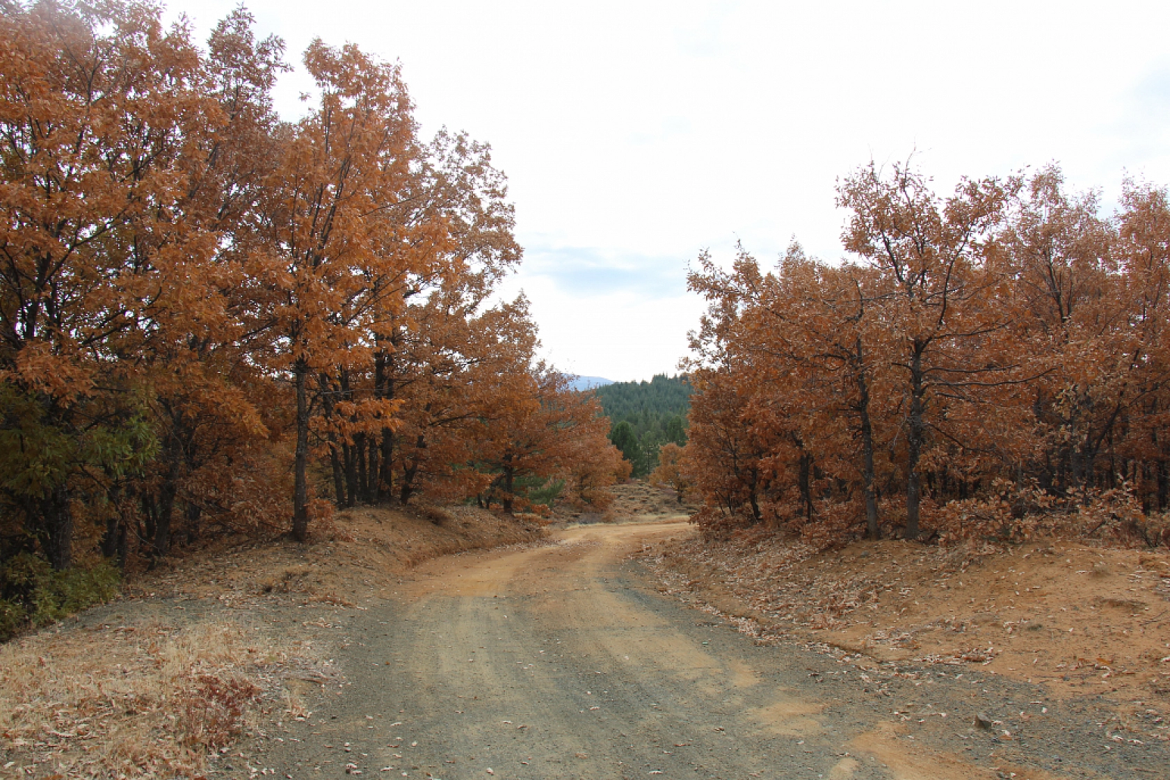 Şiro Çayı Etrafındaki Sonbahar Manzarası Pütürge'yi Güzelleştiriyor