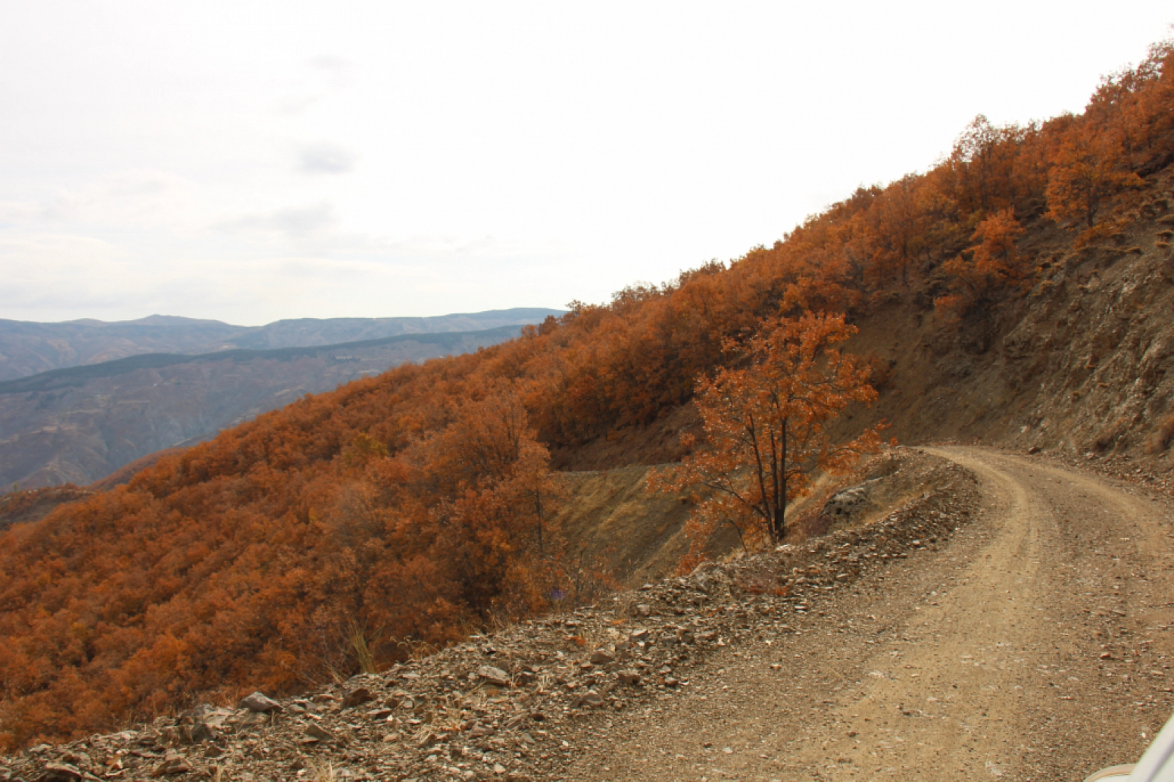 Şiro Çayı Etrafındaki Sonbahar Manzarası Pütürge'yi Güzelleştiriyor