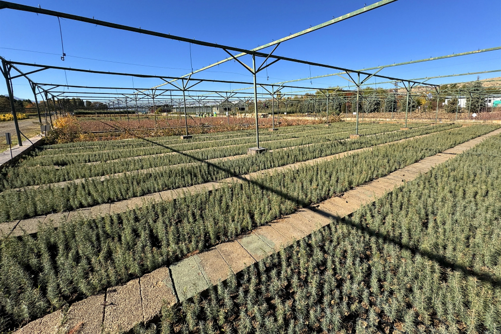 Malatya'da Yeşil Dönüşüm İçin Adım Atıldı!