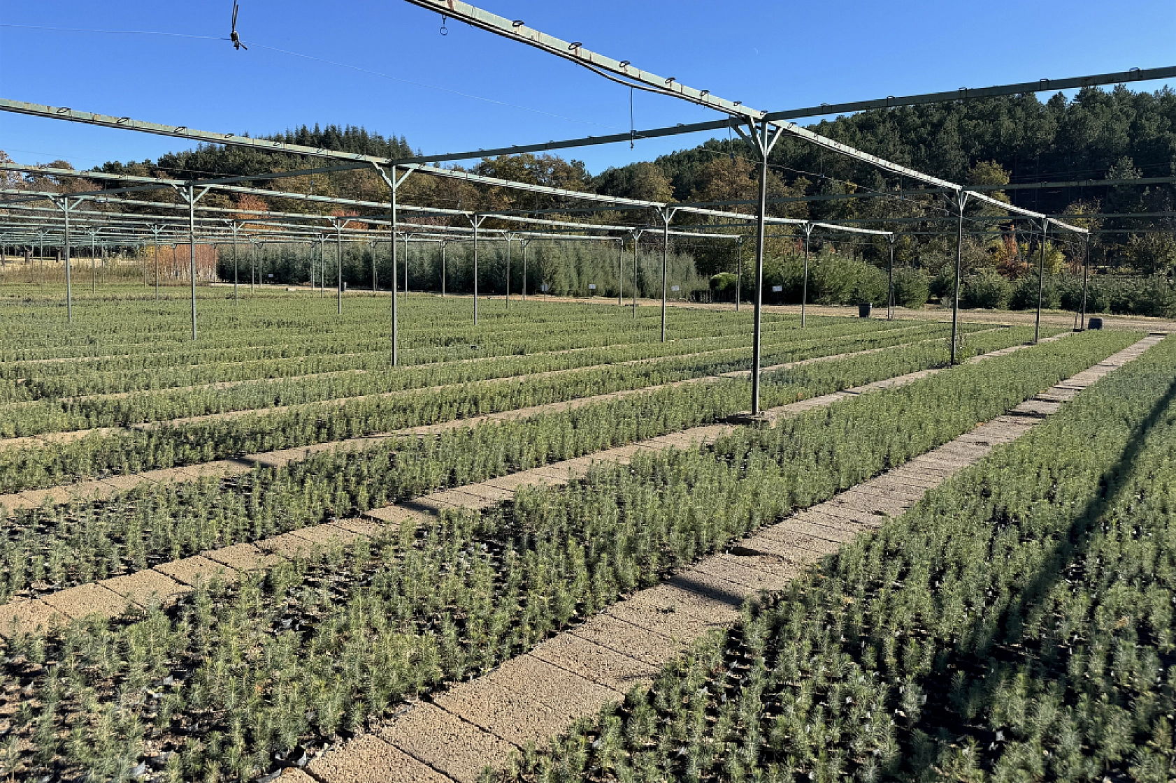 Malatya'da Yeşil Dönüşüm İçin Adım Atıldı!