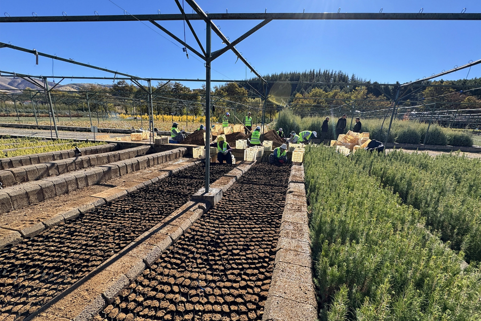 Malatya'da Yeşil Dönüşüm İçin Adım Atıldı!