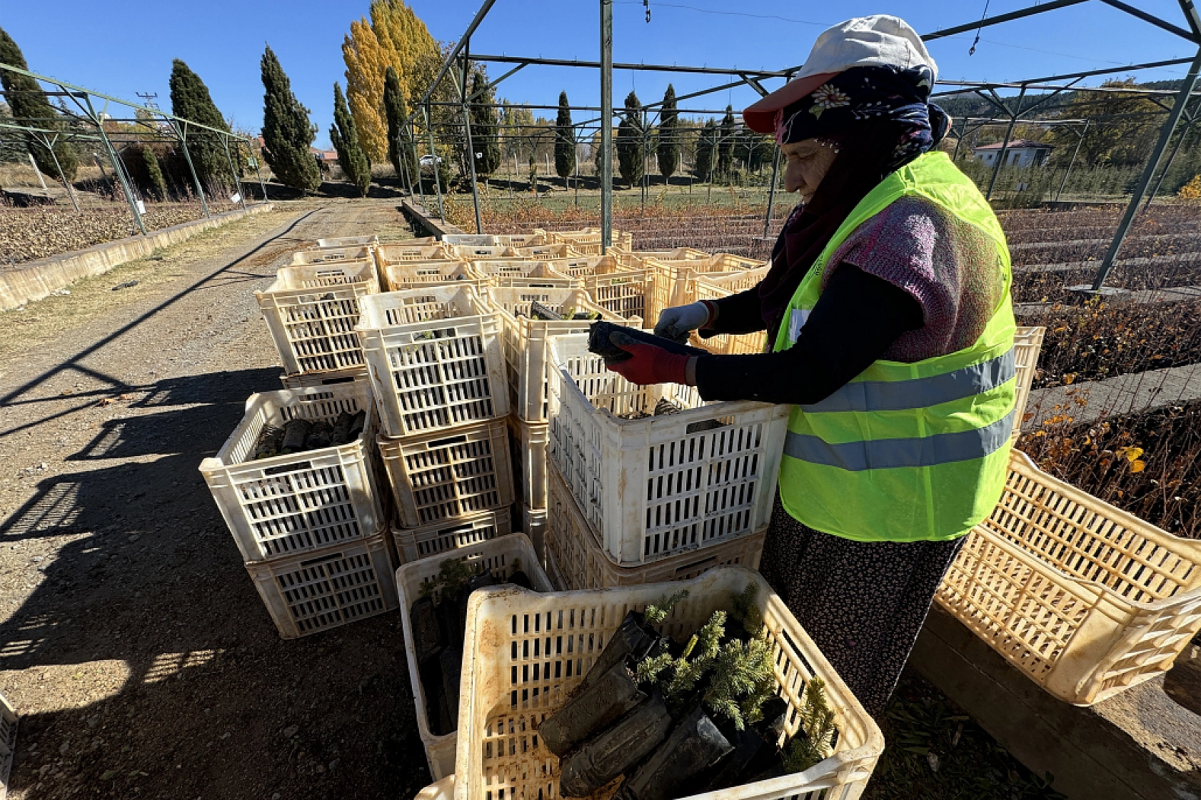 Malatya'da Yeşil Dönüşüm İçin Adım Atıldı!