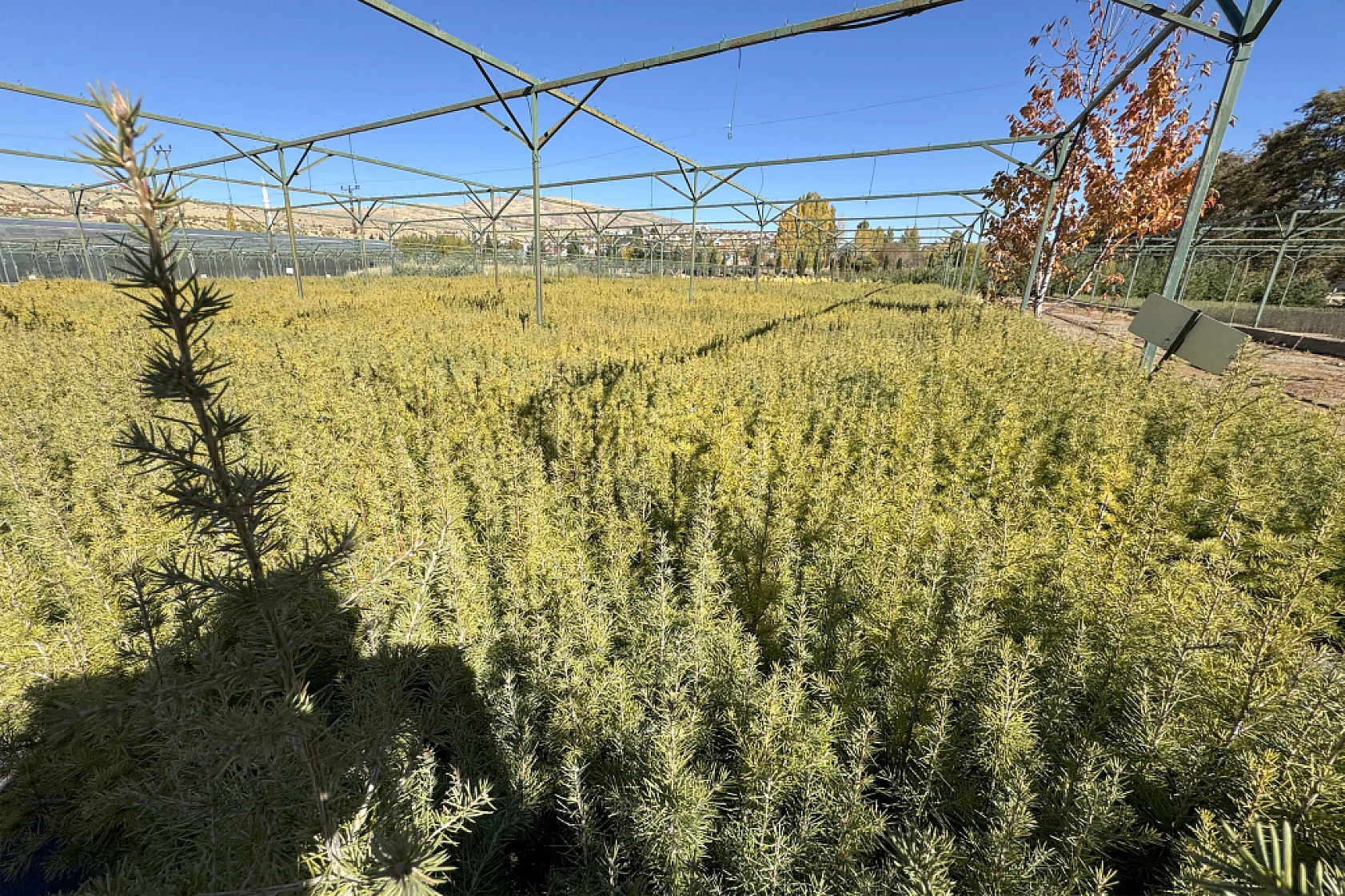 Malatya'da Yeşil Dönüşüm İçin Adım Atıldı!