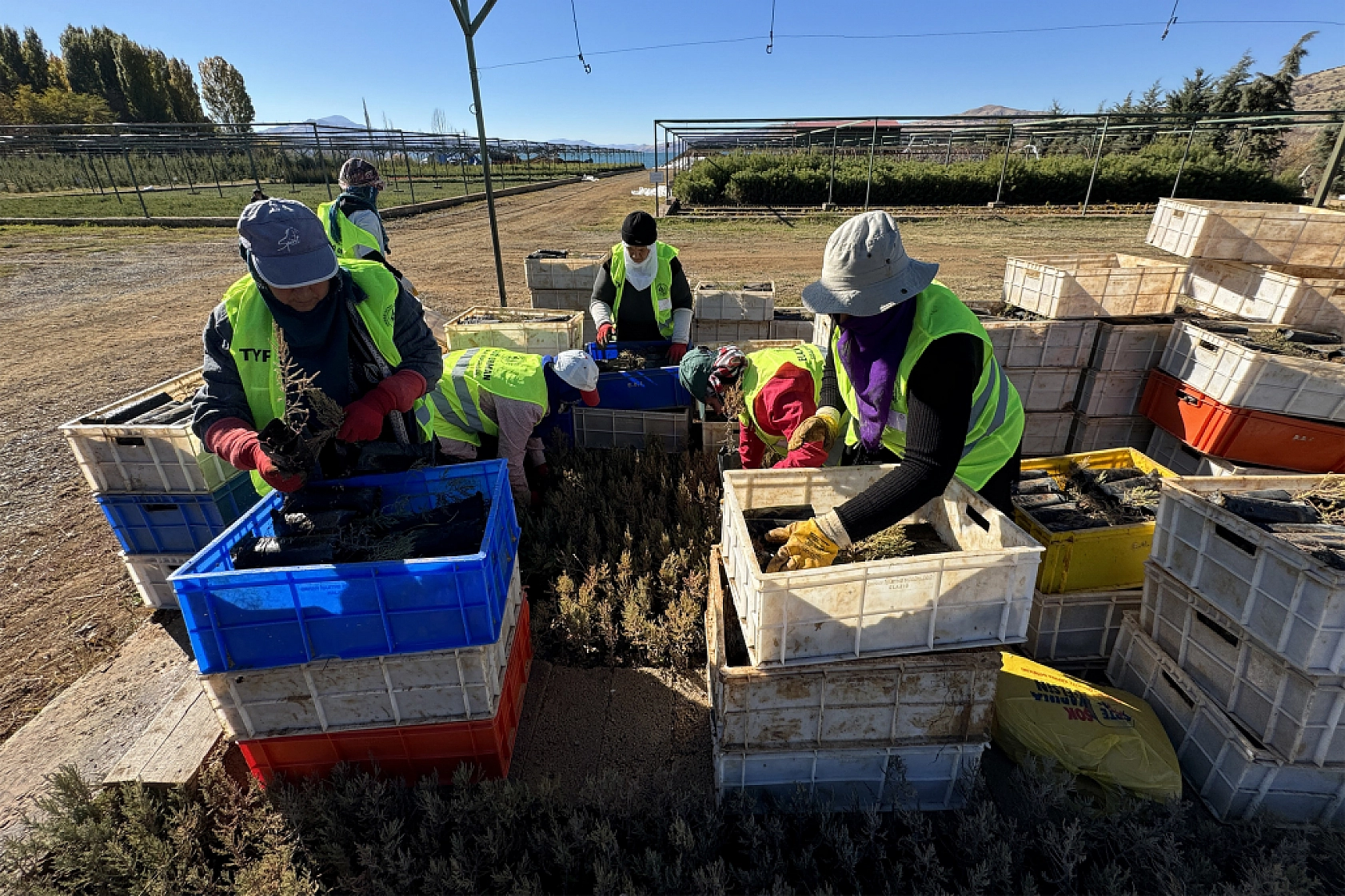 Malatya'da Yeşil Dönüşüm İçin Adım Atıldı!