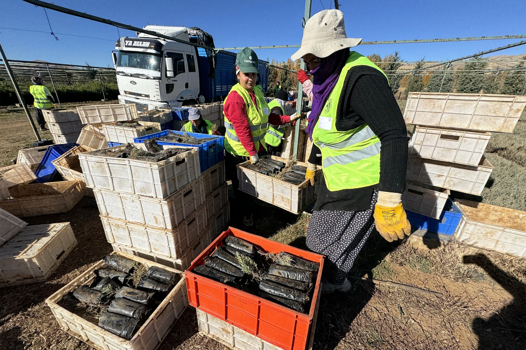 Malatya'da Yeşil Dönüşüm İçin Adım Atıldı!