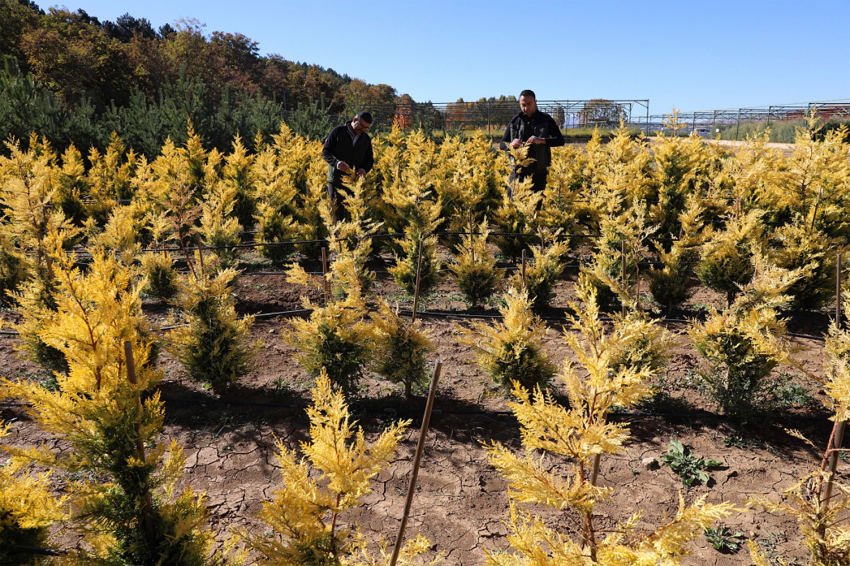 Malatya'da Yeşil Dönüşüm İçin Adım Atıldı!