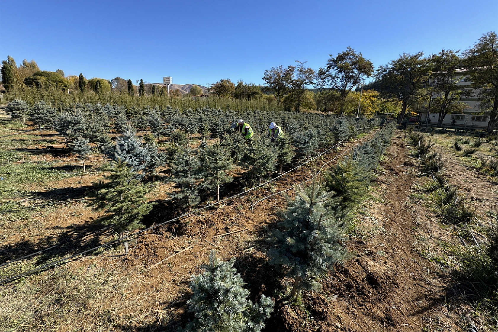Malatya'da Yeşil Dönüşüm İçin Adım Atıldı!