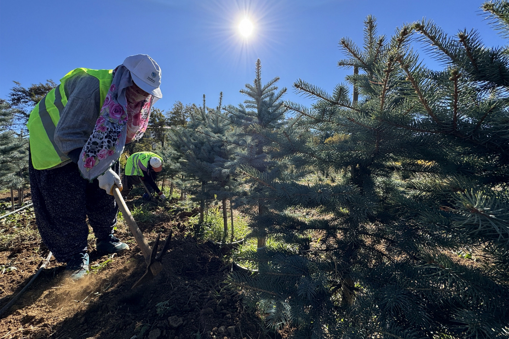 Malatya'da Yeşil Dönüşüm İçin Adım Atıldı!
