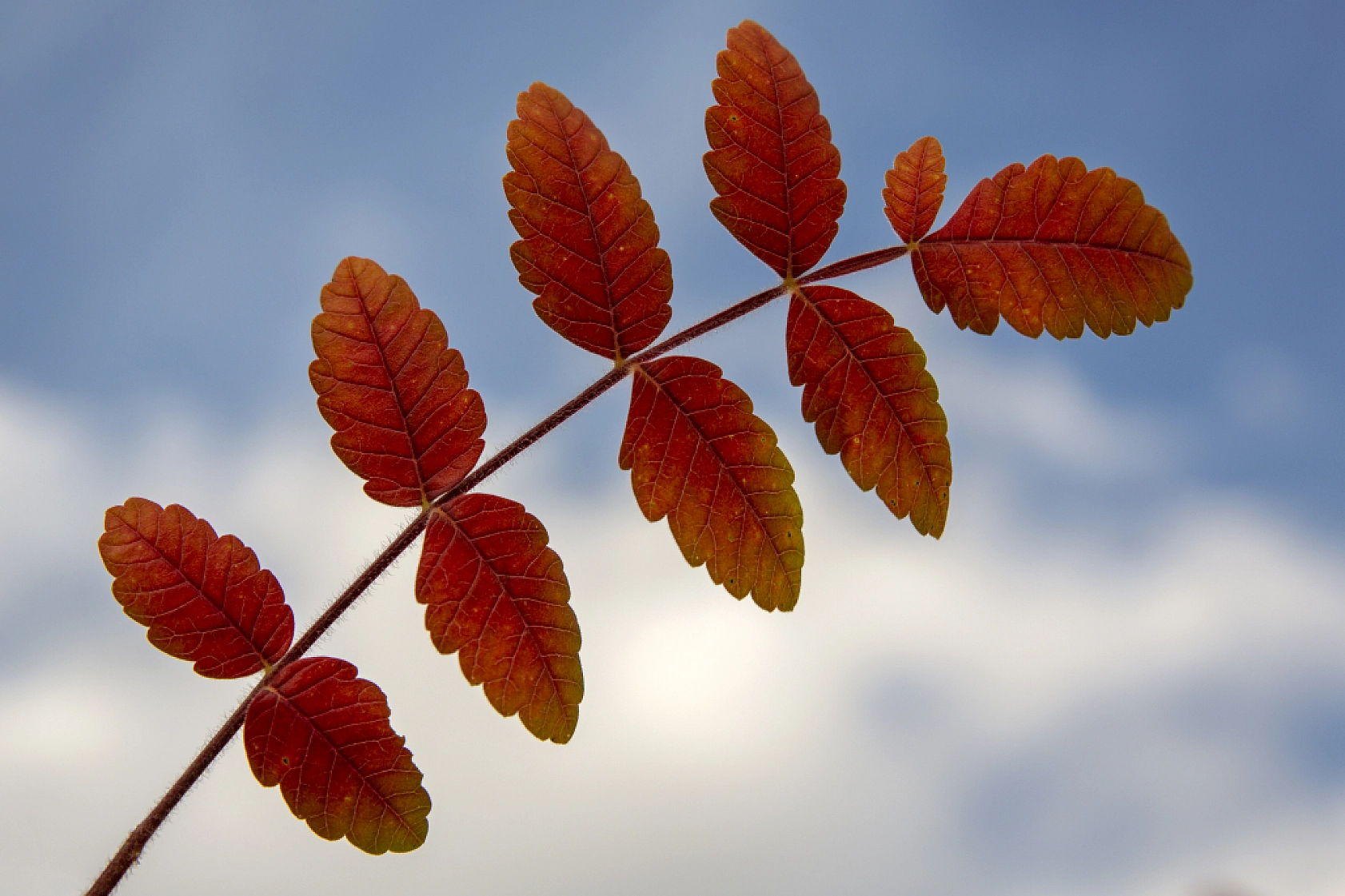Malatya'nın Gözbebeği Sonbaharda Kendine Hayran Bırakıyor...