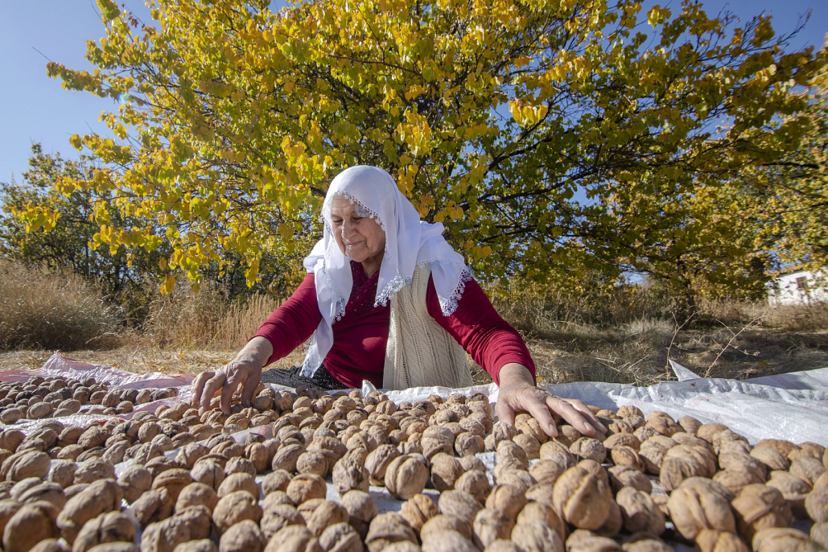 Malatya'nın Gözbebeği Sonbaharda Kendine Hayran Bırakıyor...