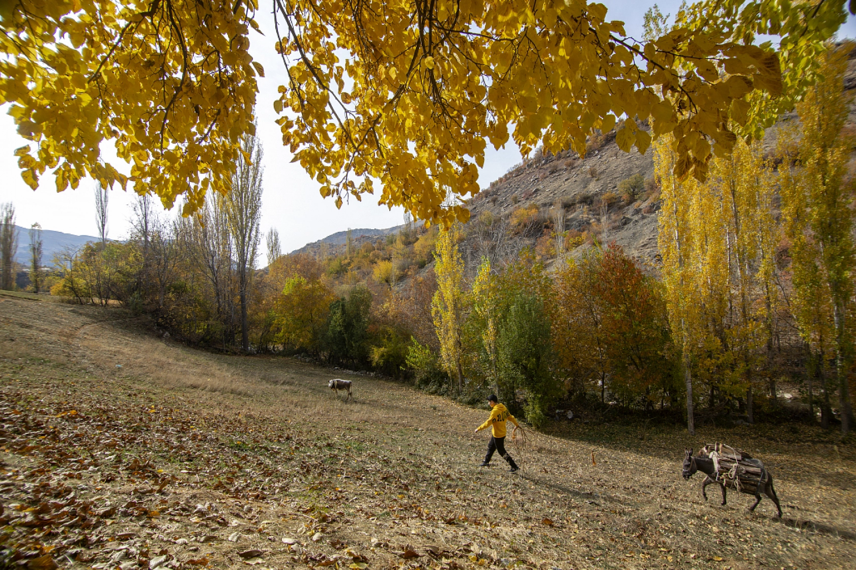 Malatya'nın Gözbebeği Sonbaharda Kendine Hayran Bırakıyor...