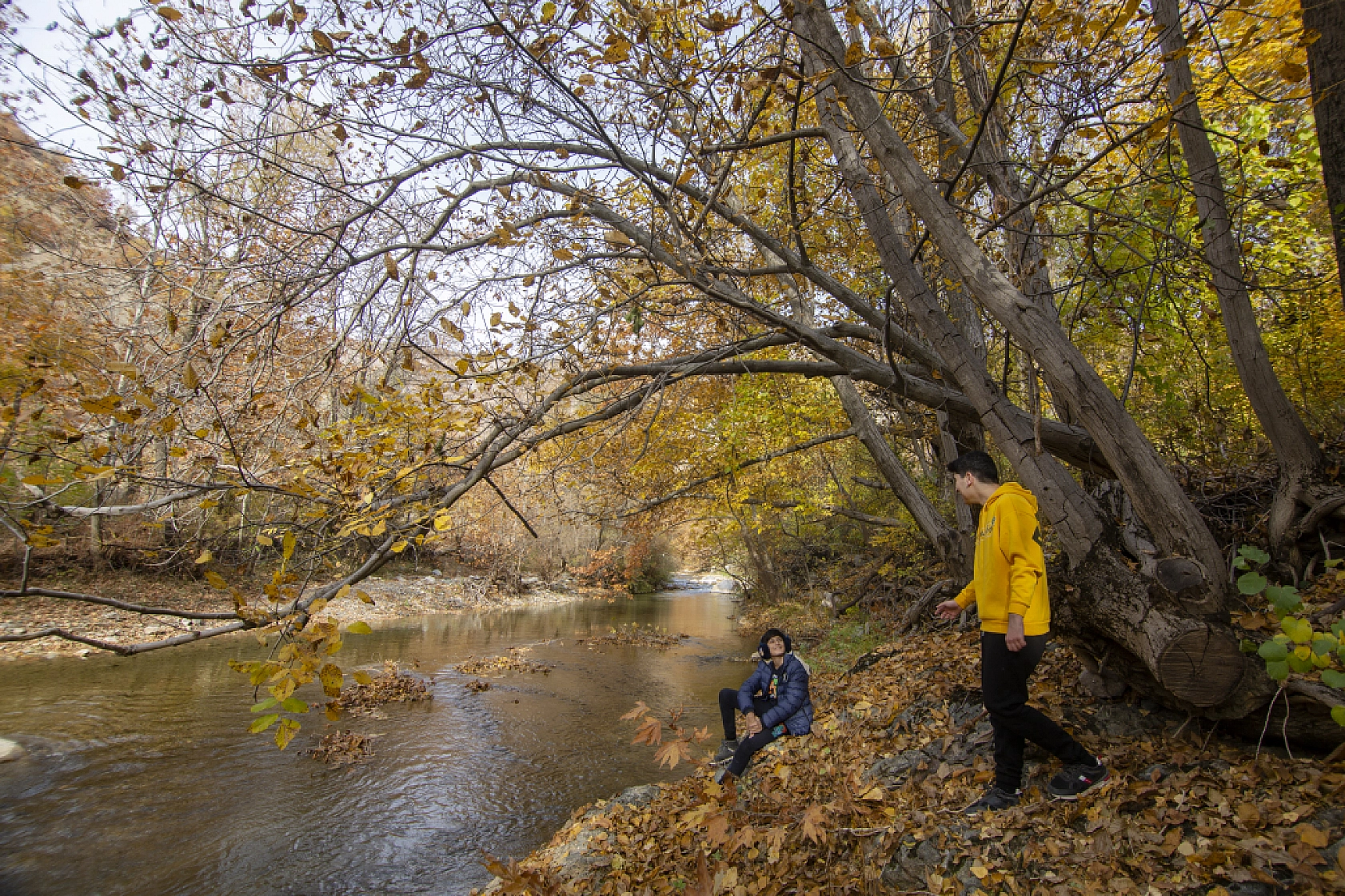 Malatya'nın Gözbebeği Sonbaharda Kendine Hayran Bırakıyor...