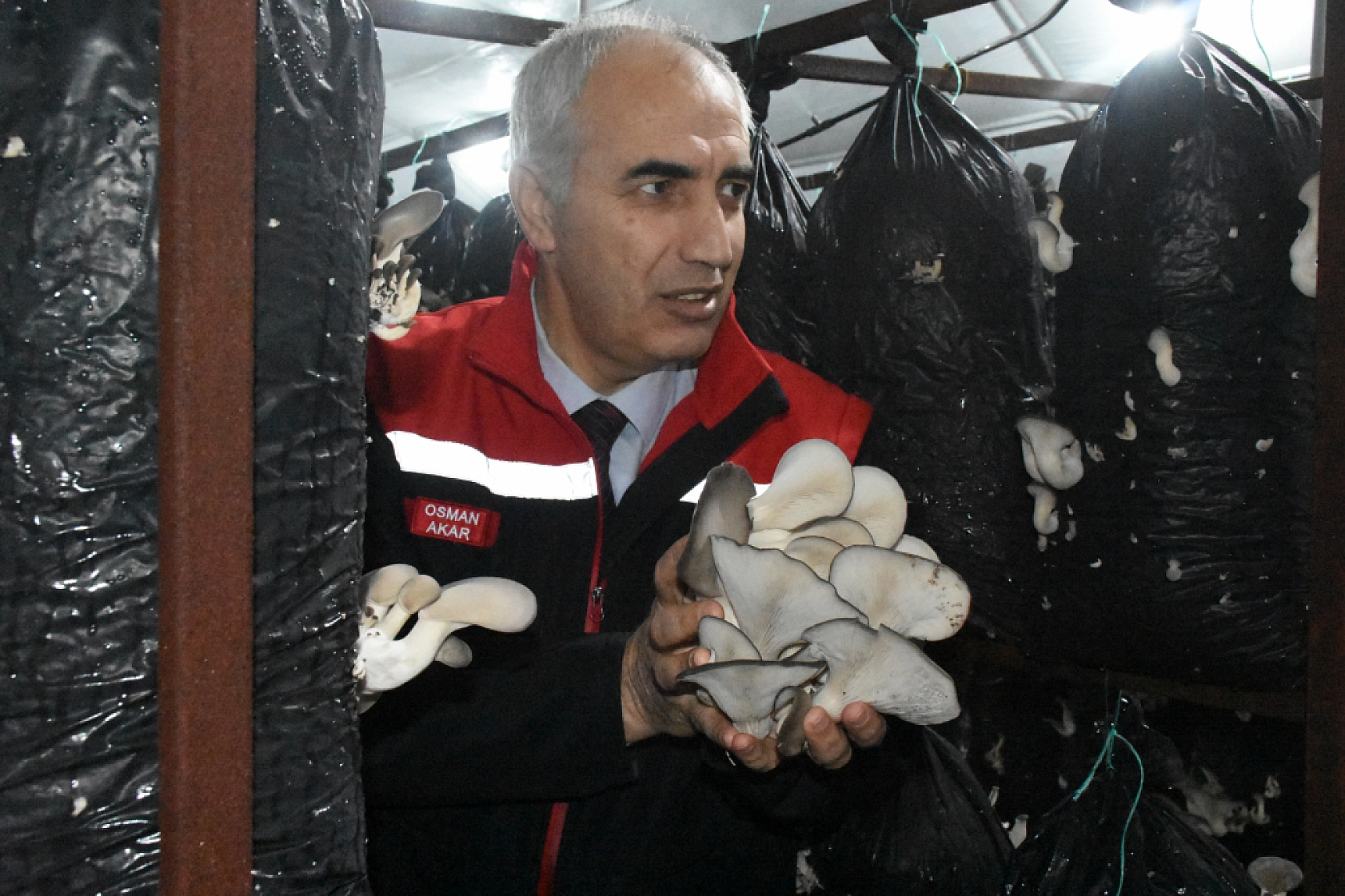 Malatya'da Sadece 7 Tesiste Yılda 95 Ton Üretim Yapılıyor!