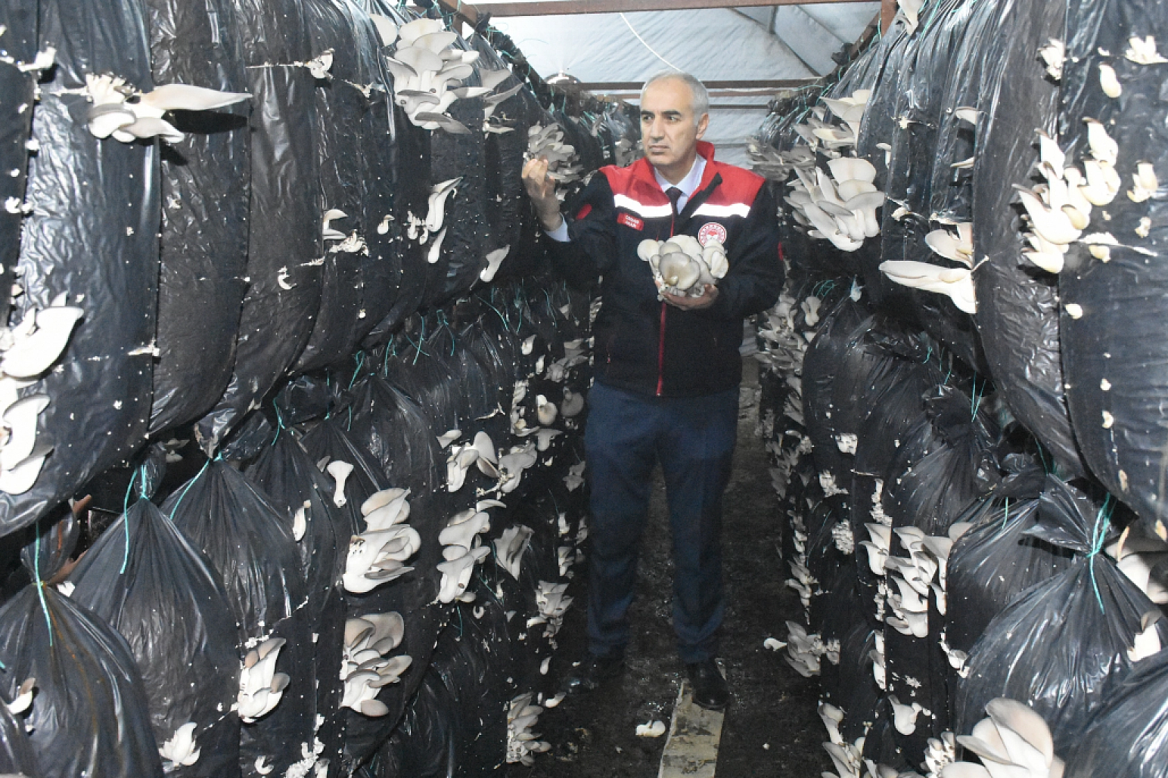 Malatya'da Sadece 7 Tesiste Yılda 95 Ton Üretim Yapılıyor!