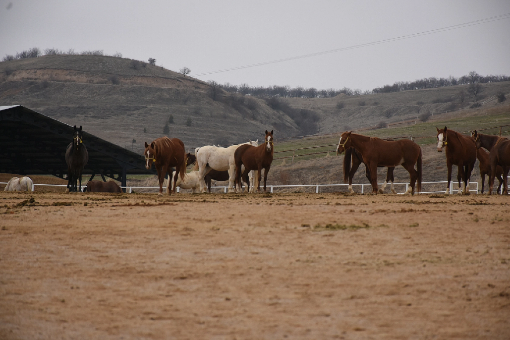 Malatya'da Şampiyon Adayları Doğdu
