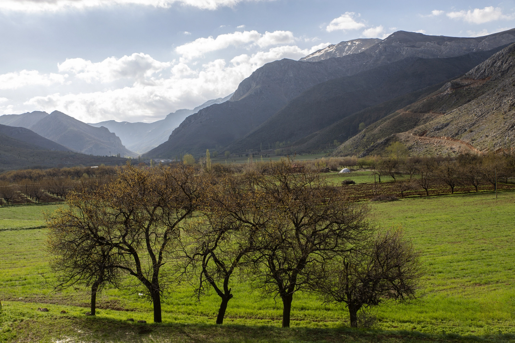 Malatya'da 4 köyü kapsayan vadi, zengin bitki örtüsüyle beğeni topluyor