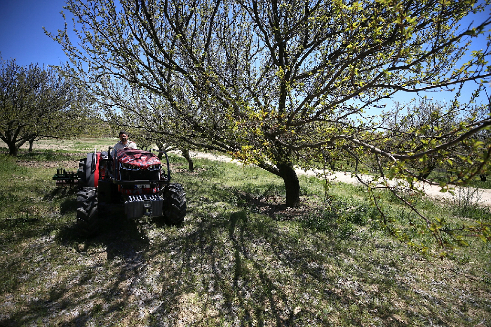 Üç kuşaklık mirası geleceğe taşıyor| Malatyalı genç çiftçi tarımda iz bırakıyor