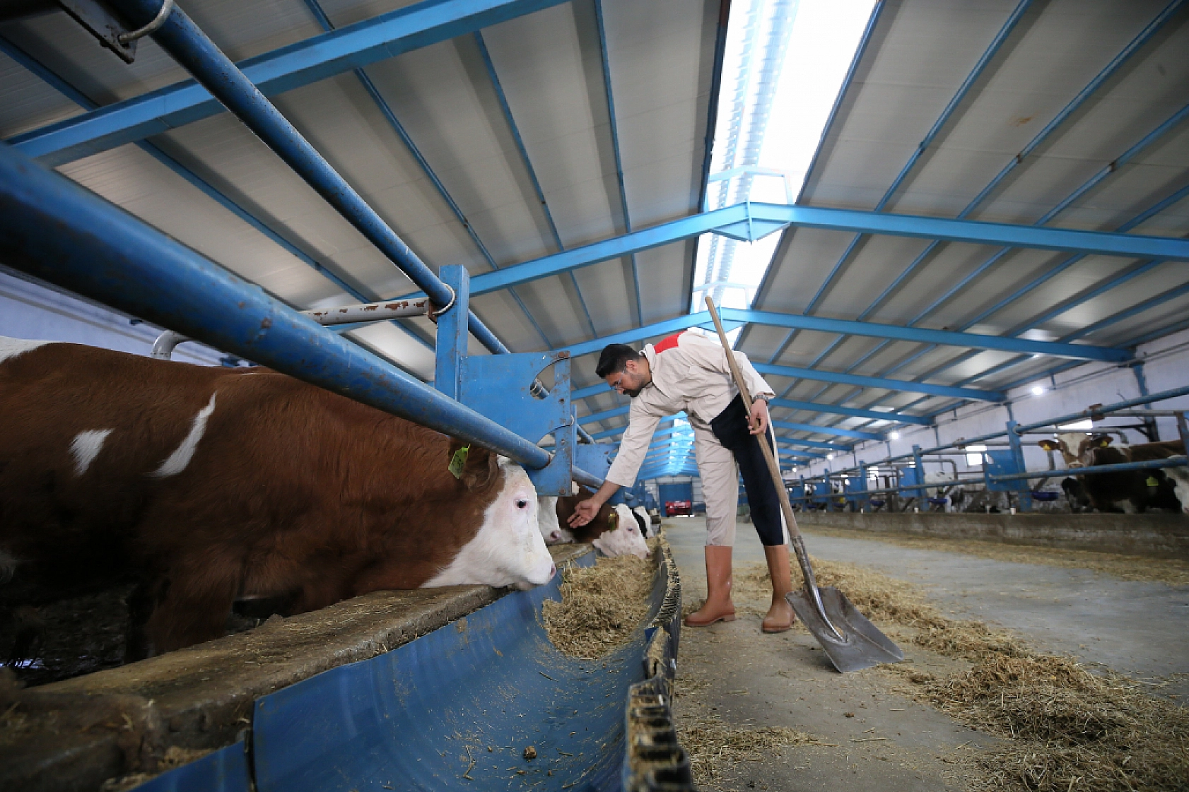 Üç kuşaklık mirası geleceğe taşıyor| Malatyalı genç çiftçi tarımda iz bırakıyor