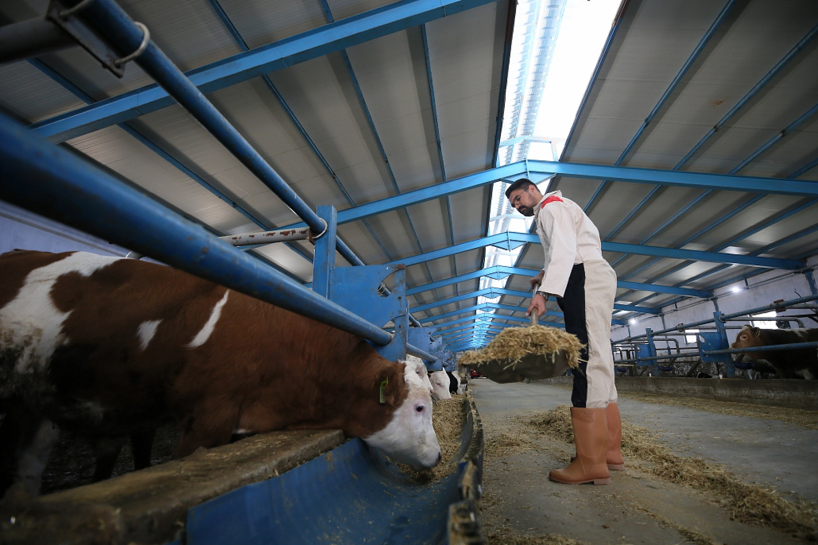 Üç kuşaklık mirası geleceğe taşıyor| Malatyalı genç çiftçi tarımda iz bırakıyor