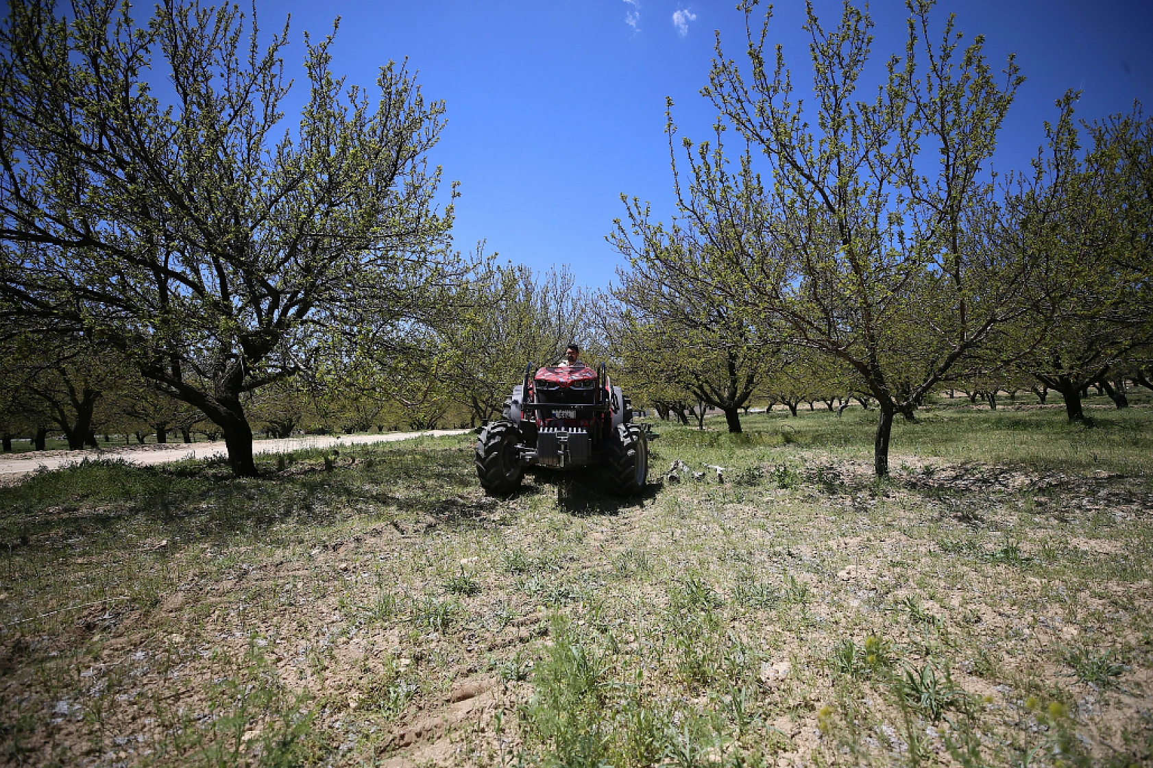 Üç kuşaklık mirası geleceğe taşıyor| Malatyalı genç çiftçi tarımda iz bırakıyor
