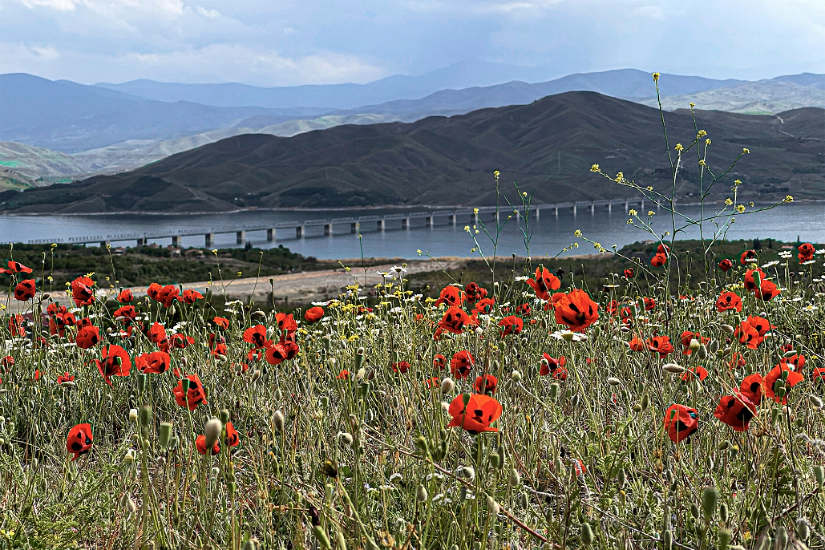 Karakaya Baraj Gölü'nden kartpostallık manzaralar