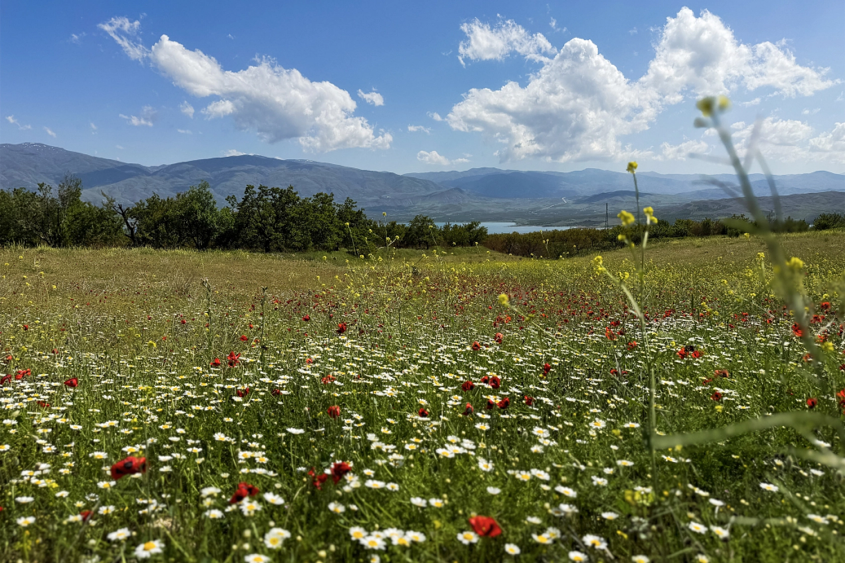 Karakaya Baraj Gölü'nden kartpostallık manzaralar