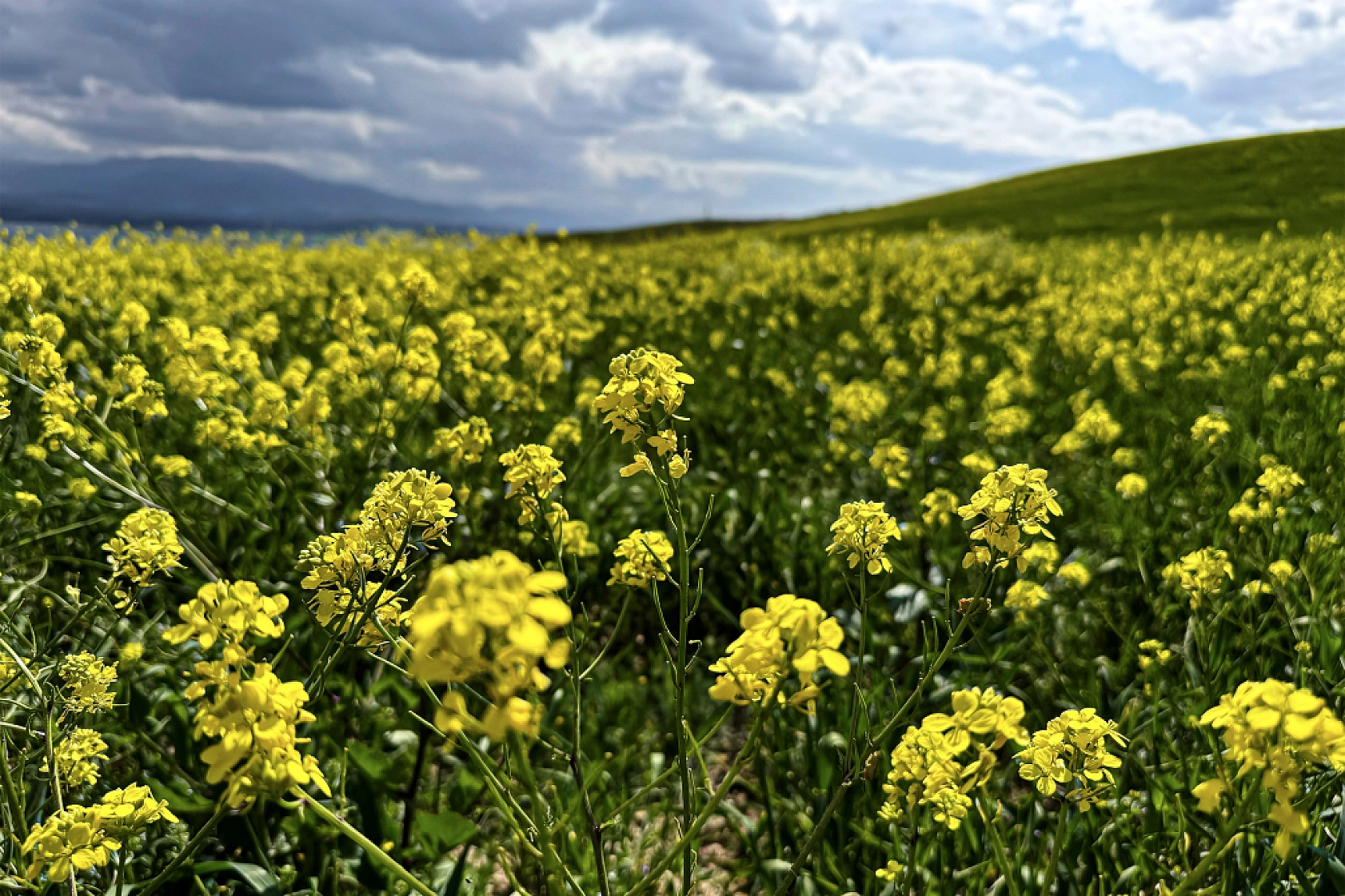 Karakaya Baraj Gölü'nden kartpostallık manzaralar