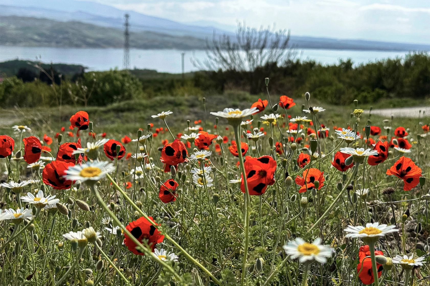 Meteoroloji açıkladı|4 Haziran 2025 Malatya hava durumu raporu... Bugün hava nasıl olacak? Yağış bekleniyor mu?