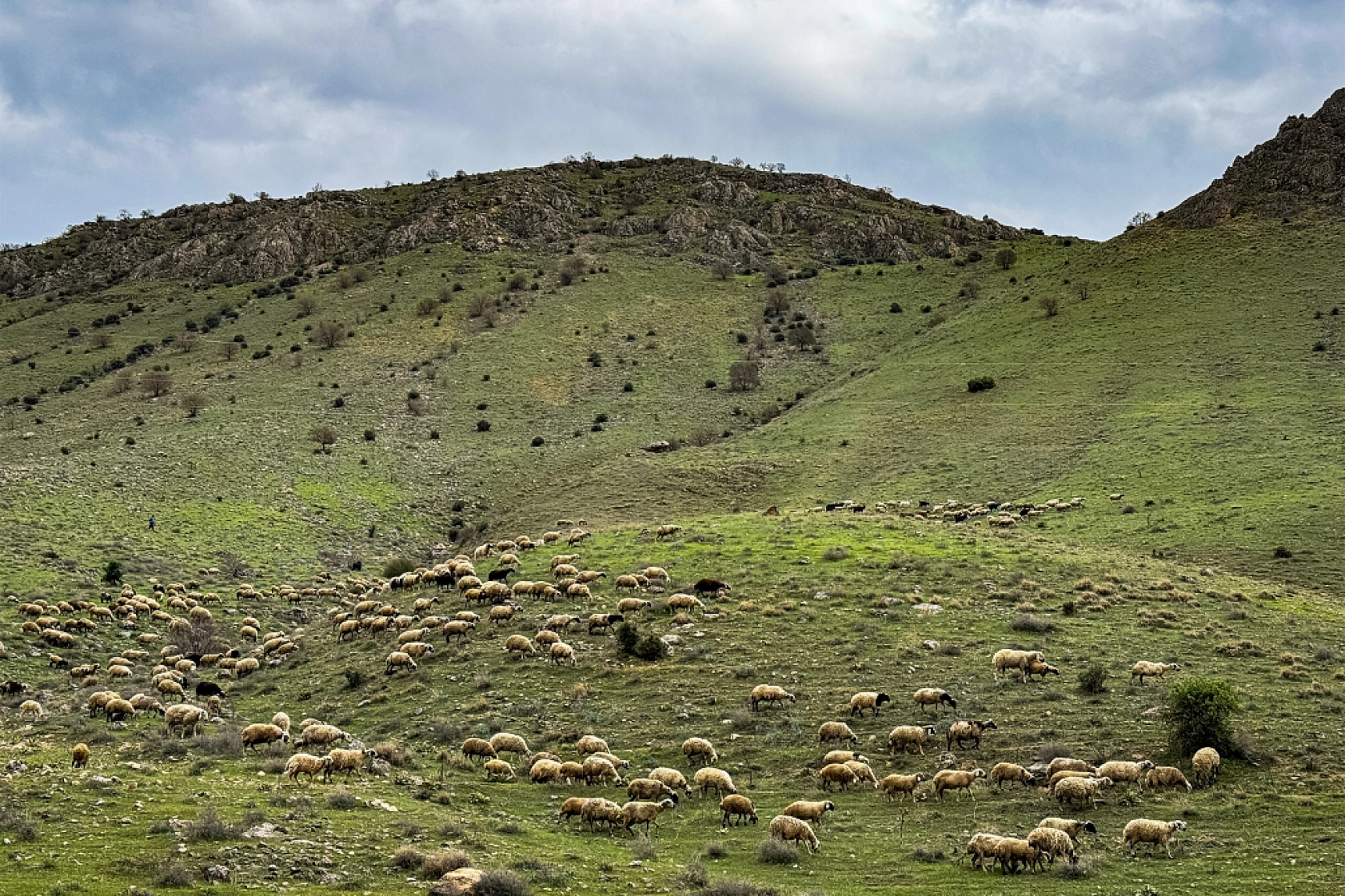 Karakaya Baraj Gölü'nden kartpostallık manzaralar