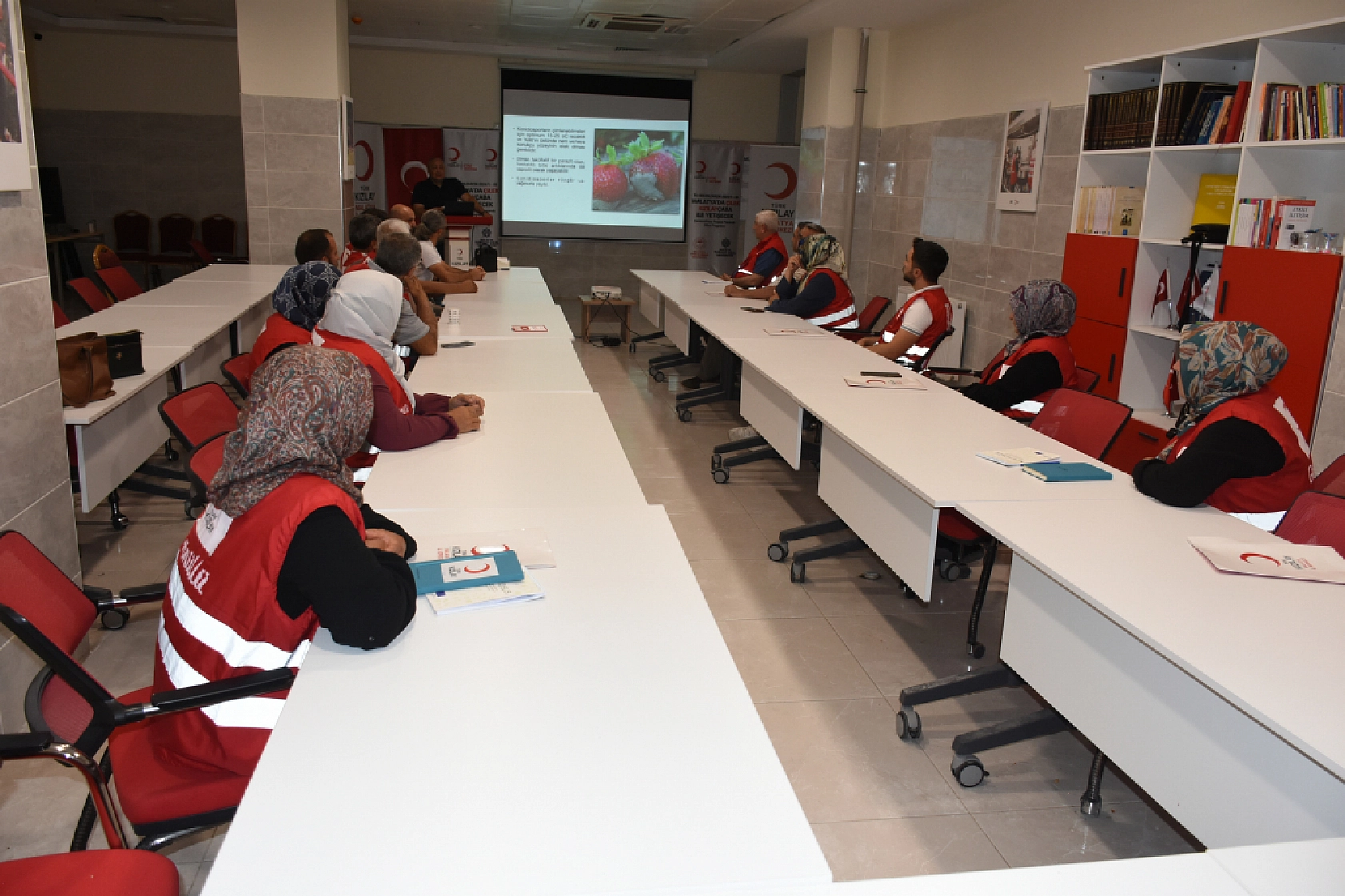 Üreticilere yeni gelir kaynağı: Malatya'da kayısıya alternatif çilek bahçesi projesi!