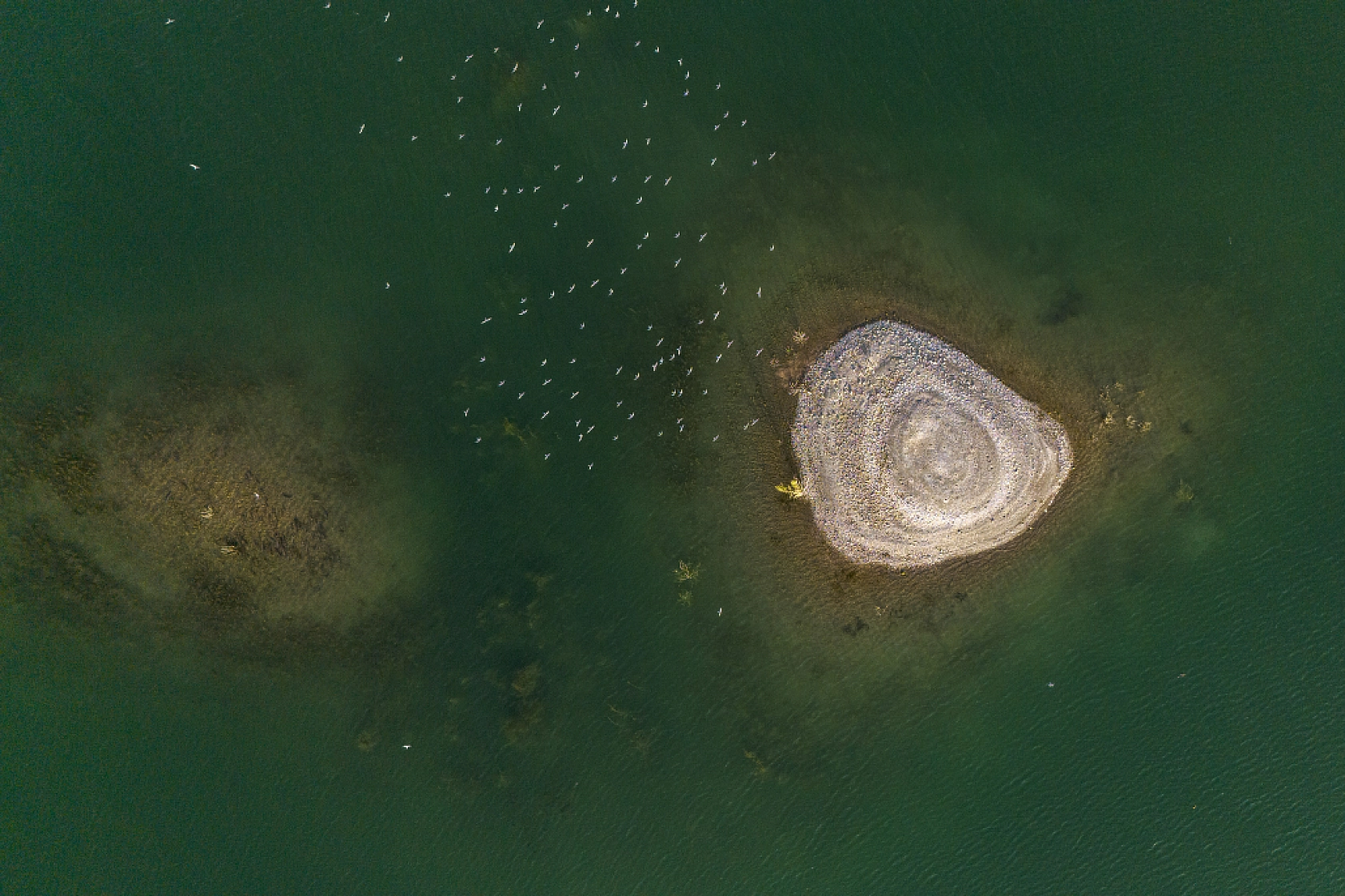 Türkiye'nin en uzun demir yolu köprüsü Fırat üzerinde zamana direniyor!