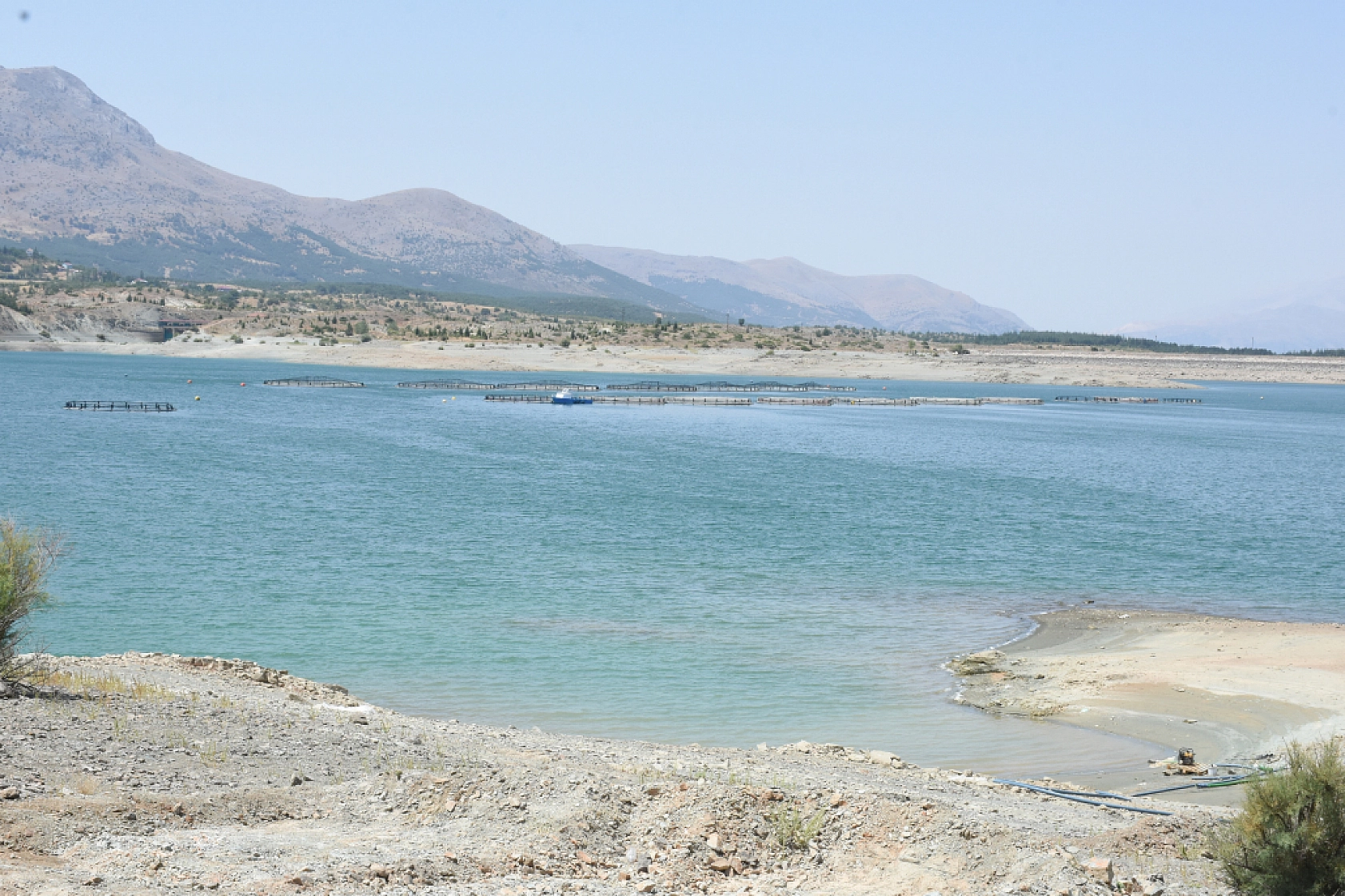 Malatya'da alabalık üretimine devlet desteği: Tesis sayısı 66'ya, üretim 16 bin tona çıkacak!