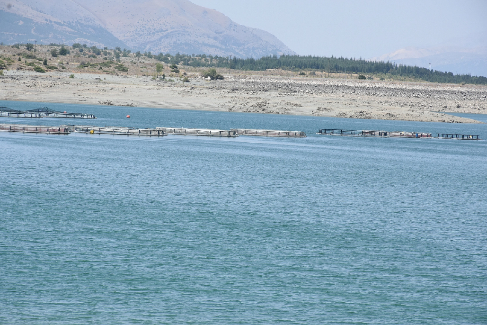 Malatya'da alabalık üretimine devlet desteği: Tesis sayısı 66'ya, üretim 16 bin tona çıkacak!