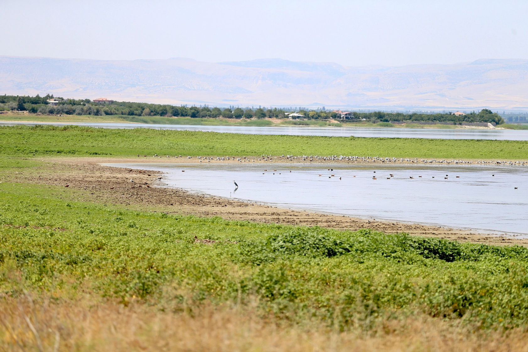 Malatya'da kuraklık alarm veriyor! Yağışlarda yüzde 25-35 azalma, buharlaşmada yüzde 15 artış!