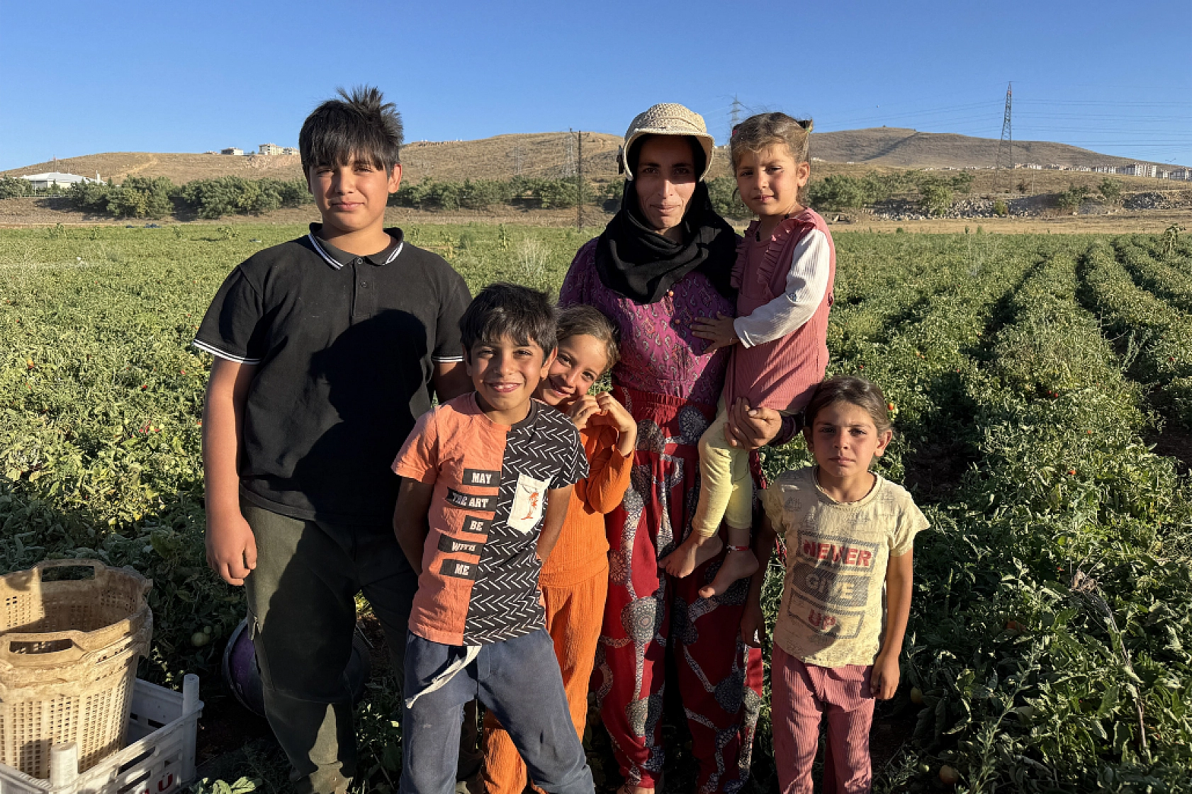 Şanlıurfa'dan Elazığ'a geldiler... Tarla kiraladılar.. Üretim yaparak Elazığ'dan Malatya'ya gönderiyorlar...