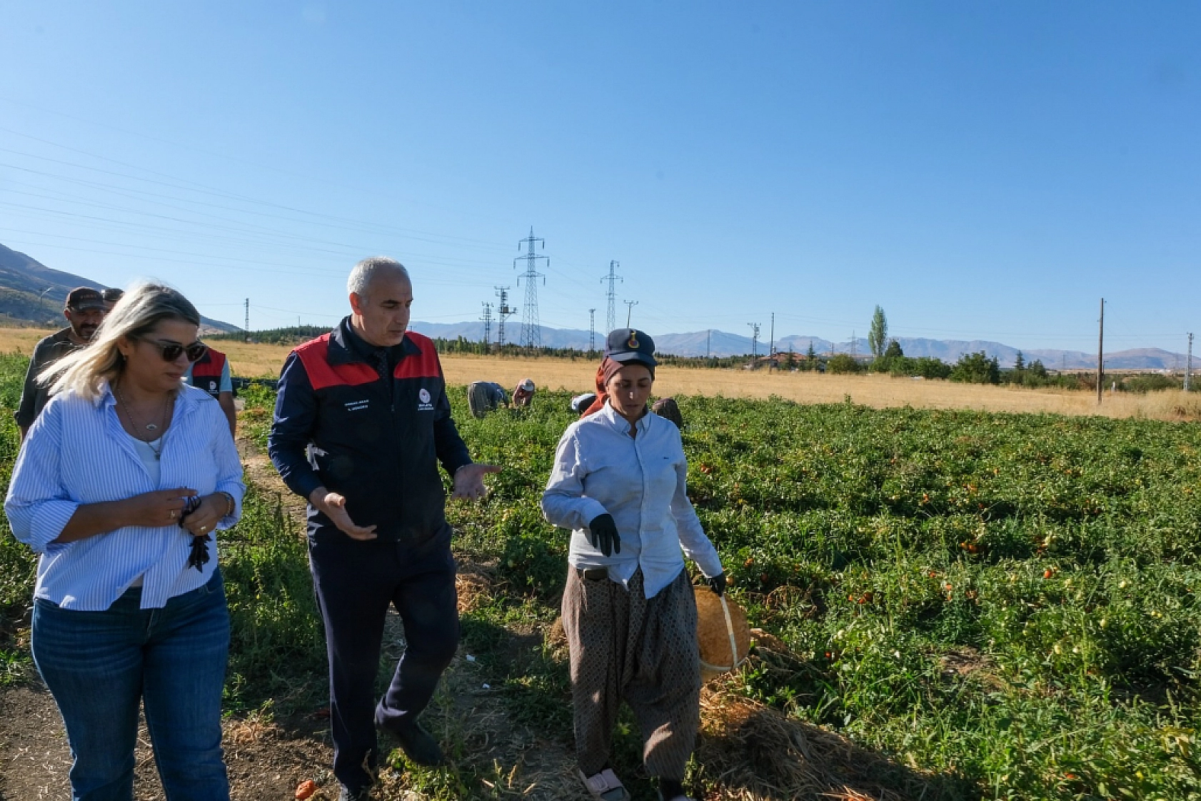 Hibe Desteğiyle kurulmuştu: Çiftçinin yüzü güldü