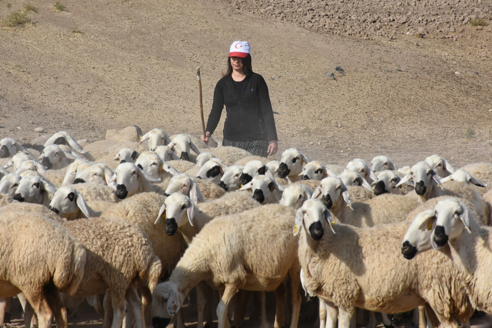 Malatya'da devlet desteğiyle başladı, 3 yılda 250 hayvana ulaştı