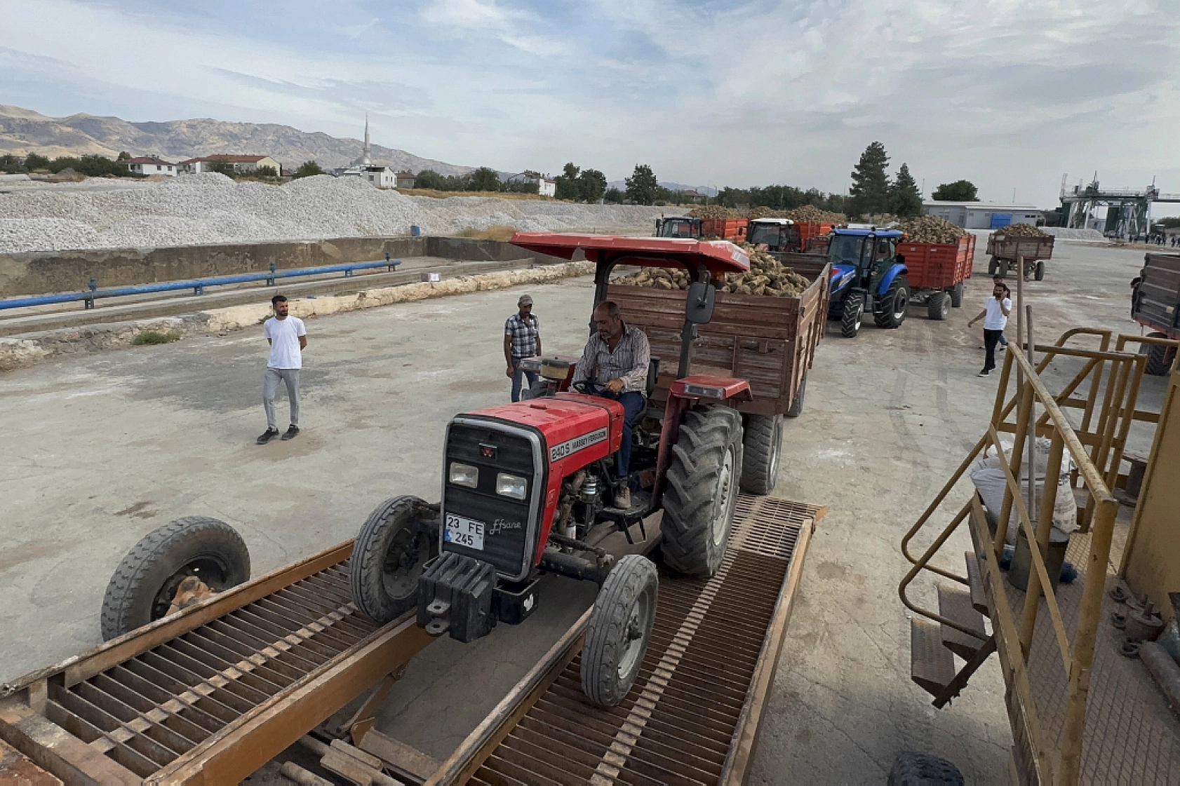 240 bin ton pancarın 50 bin tonu Malatya Şeker Fabrikası'nda işlenecek