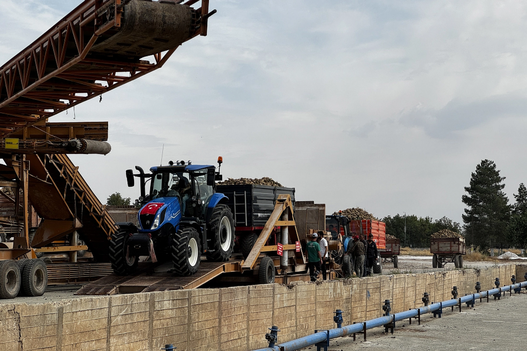 240 bin ton pancarın 50 bin tonu Malatya Şeker Fabrikası'nda işlenecek