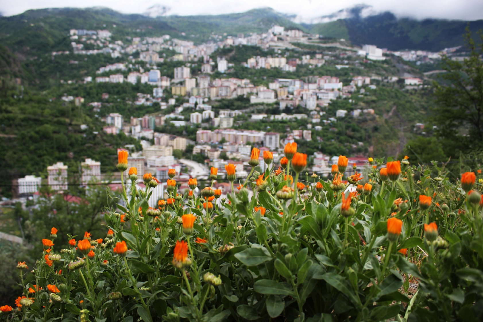 En Zeki Şehirler Açıklandı..! Malatya ve Komşuları da Listede...