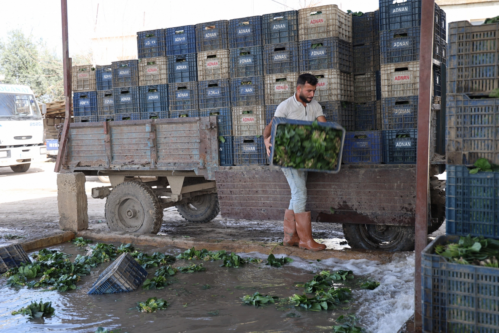 Adanalılar üretiyor! Malatyalılar tüketiyor..!