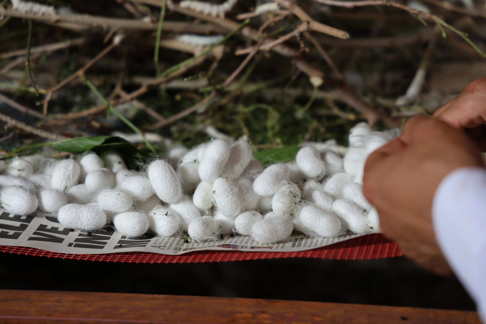 Sırrı Babaannesinden Aldı, Hayalini Gerçekleştirdi!