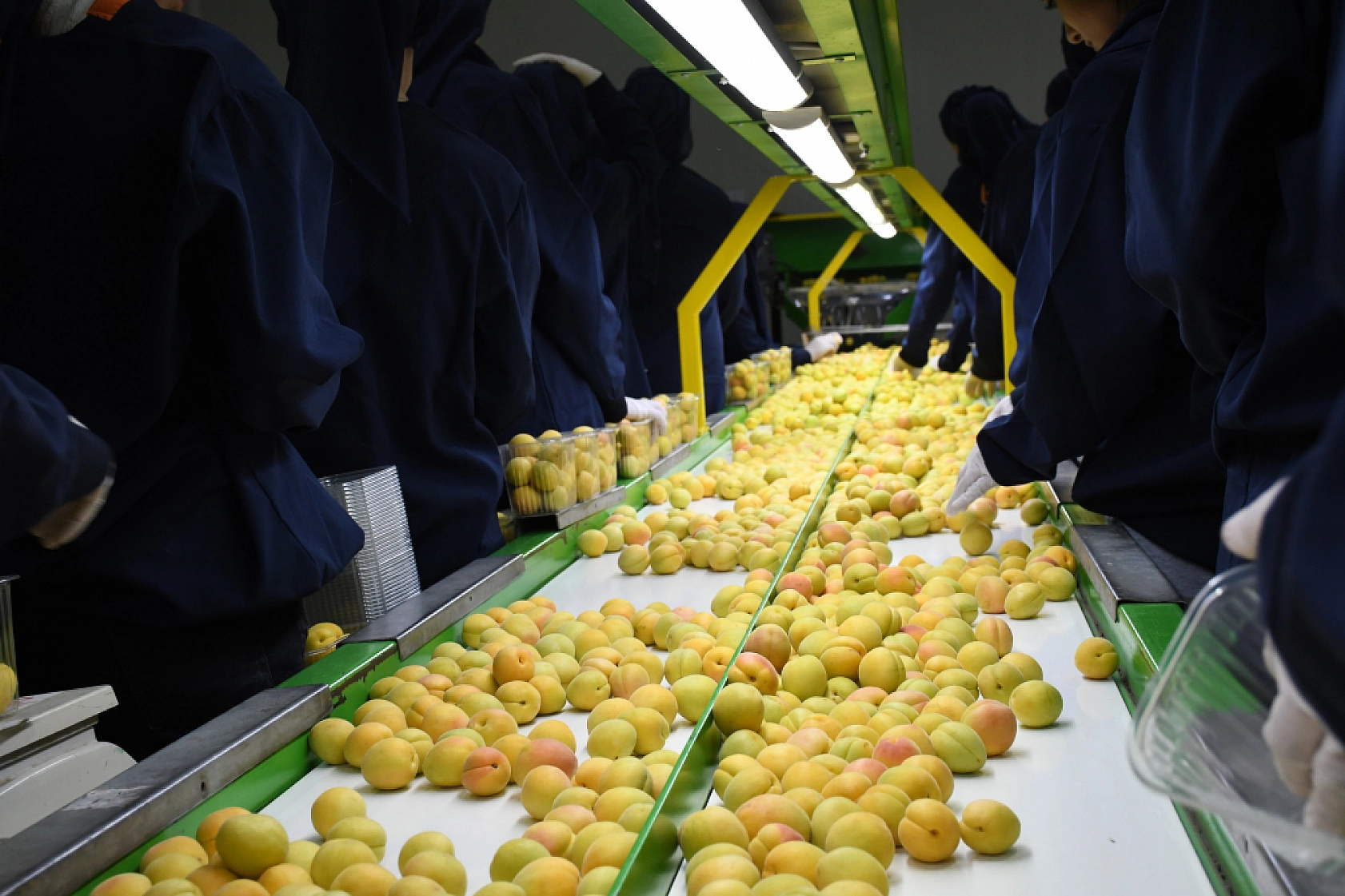 Malatya Bu Yıl Vites Yükseltti.. Hedef 750 Milyon Dolar!