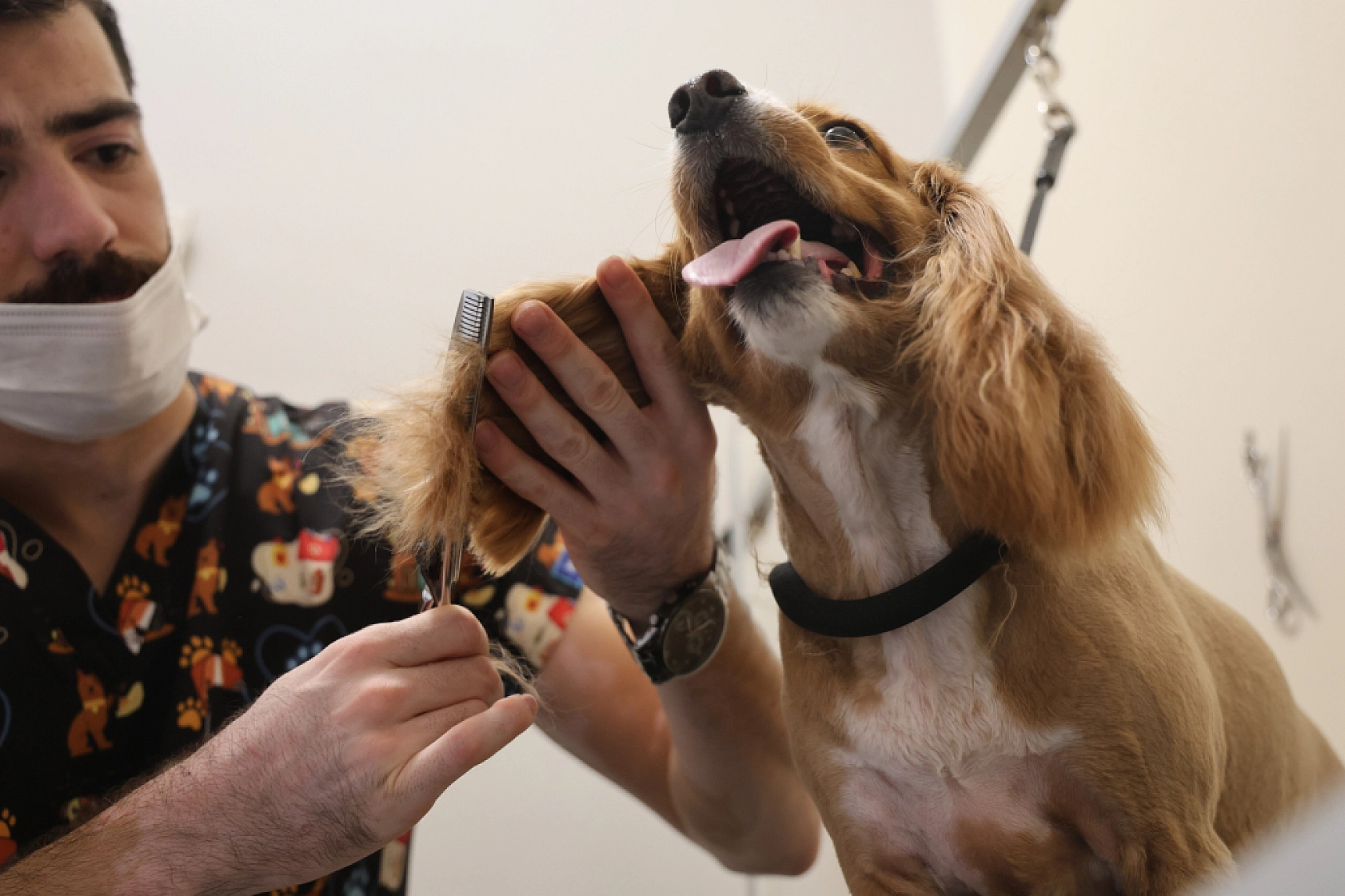 Bölgede İlk Ve Tek, Malatyalılar, Tuncelililer ve Bingöllüler Oraya Gidiyor..