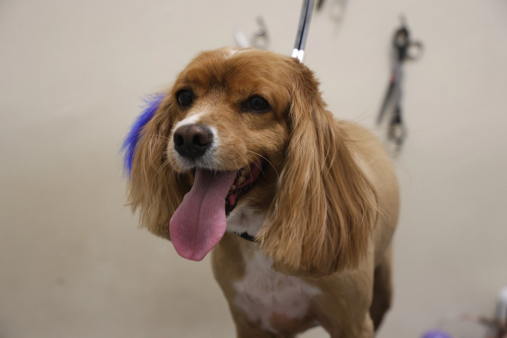 Bölgede İlk Ve Tek, Malatyalılar, Tuncelililer ve Bingöllüler Oraya Gidiyor..